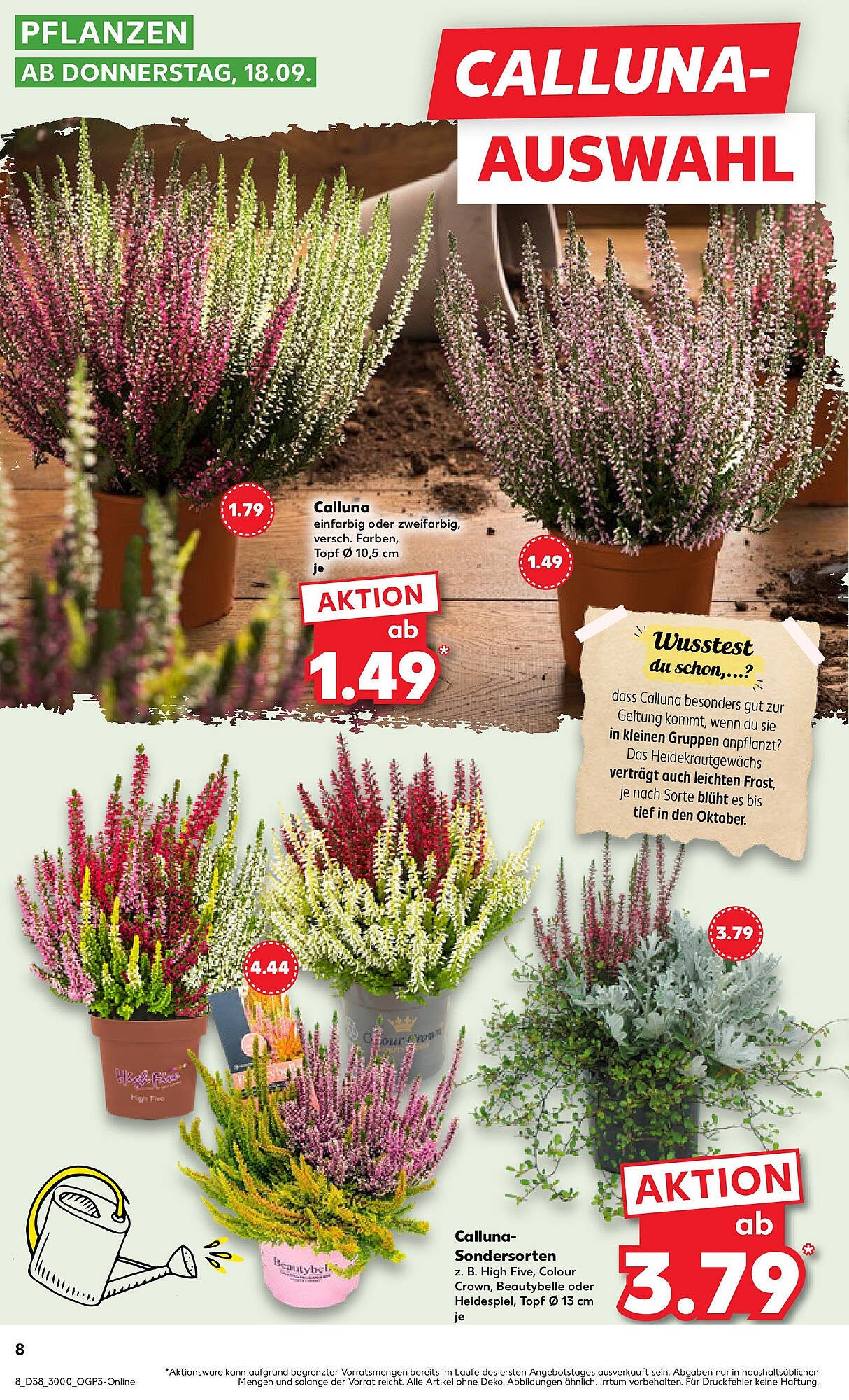 Kaufland Prospekt (2025-09-21 - 2025-09-24) | 8