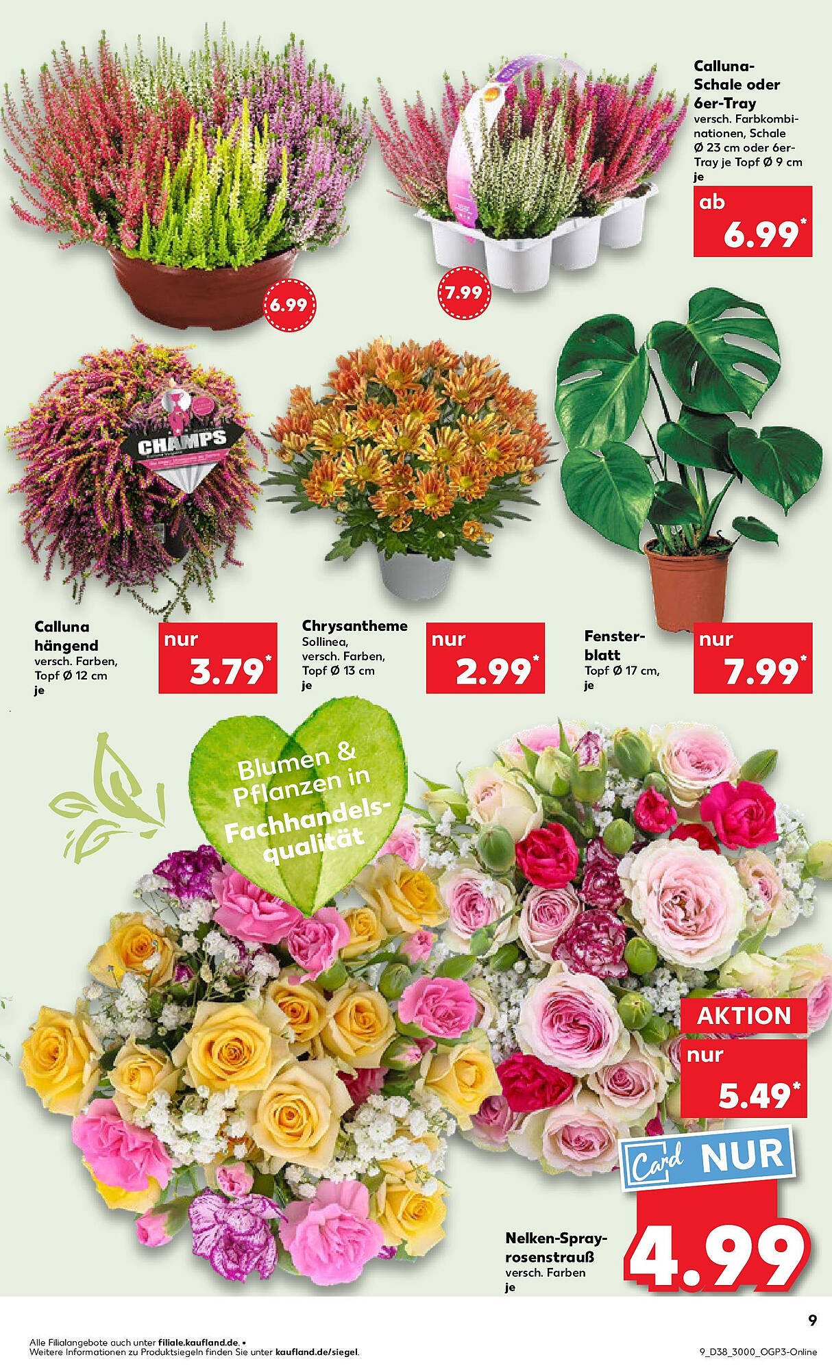 Kaufland Prospekt (2025-09-21 - 2025-09-24) | 9