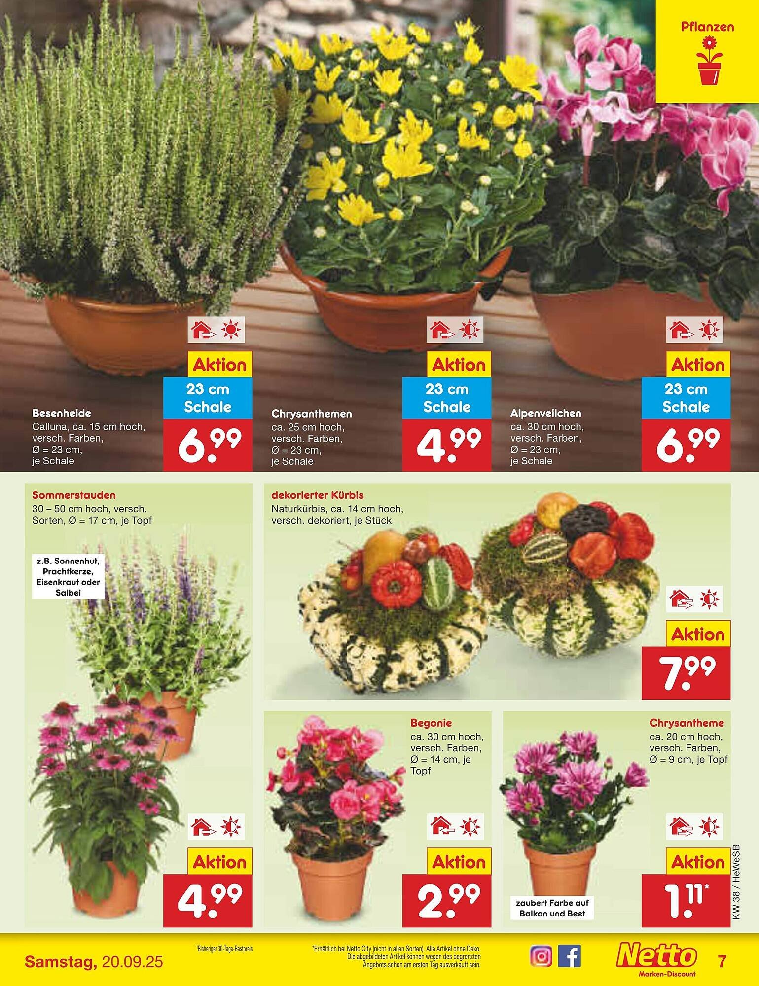 Netto Marken-Discount Prospekt (2025-09-15 - 2025-09-20) | 7