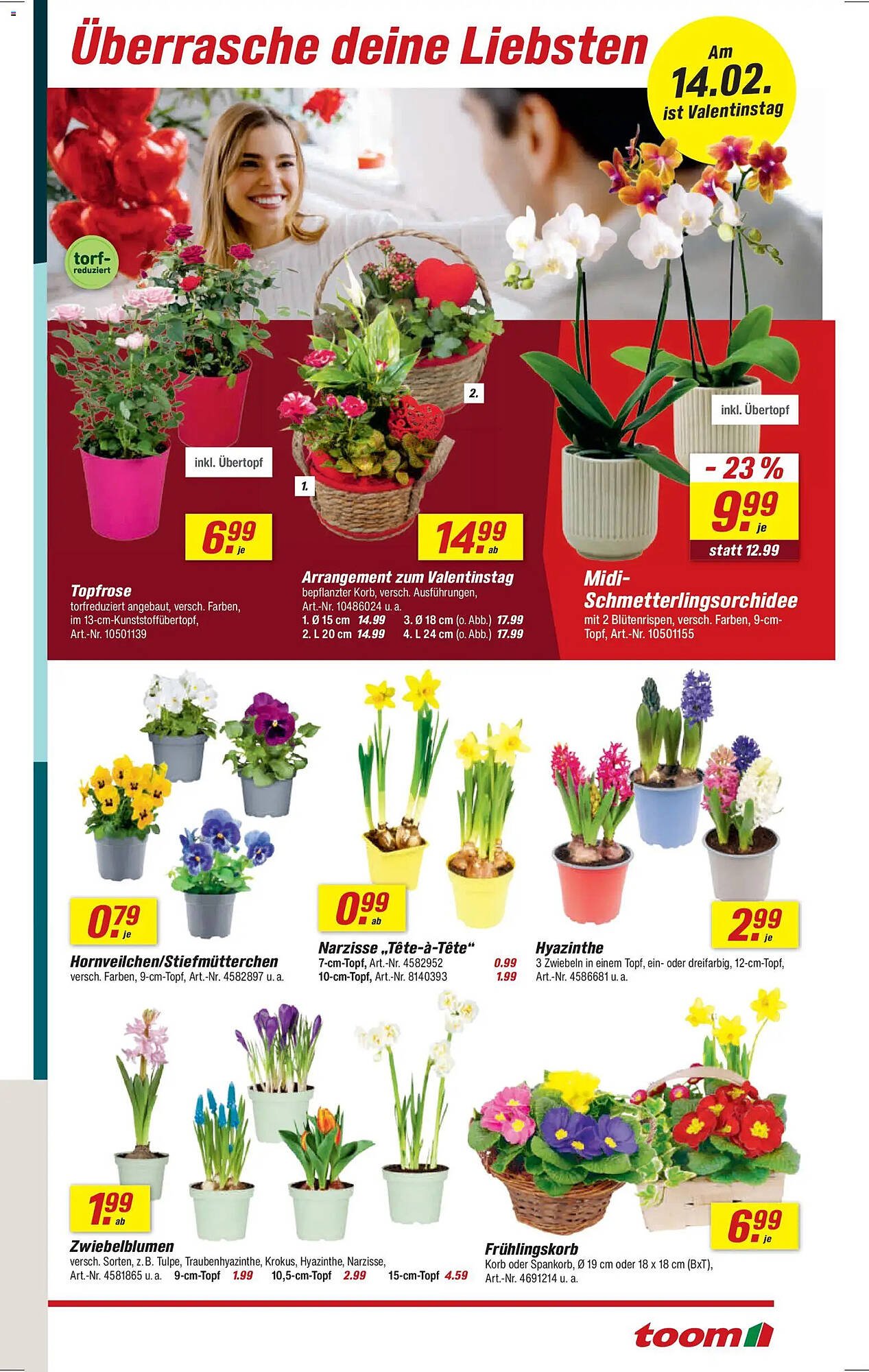 Toom Baumarkt Prospekt (2026-02-07 - 2026-02-13)