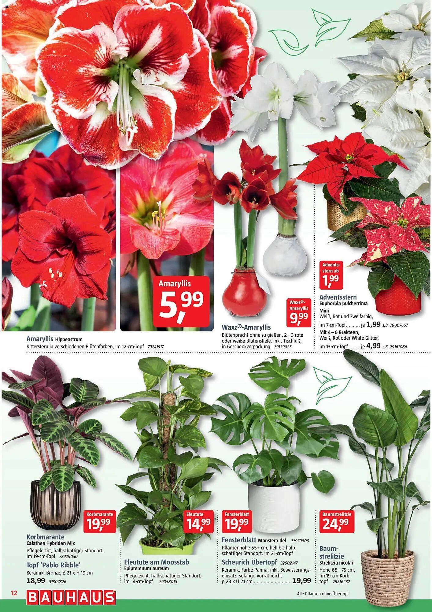 Bauhaus Prospekt (2025-11-29 - 2026-01-03)