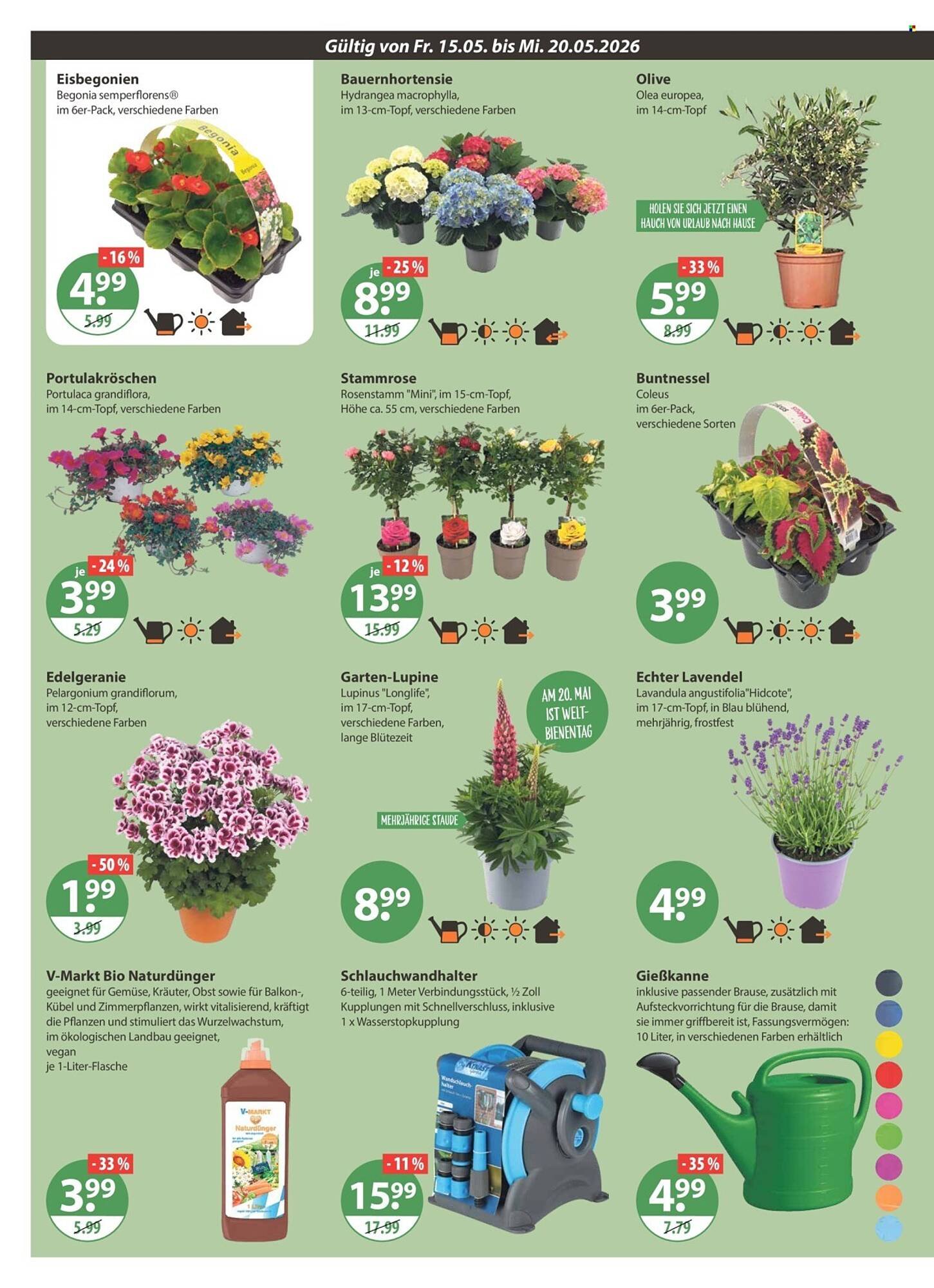 V Markt Prospekt (2026-05-15 - 2026-05-20)