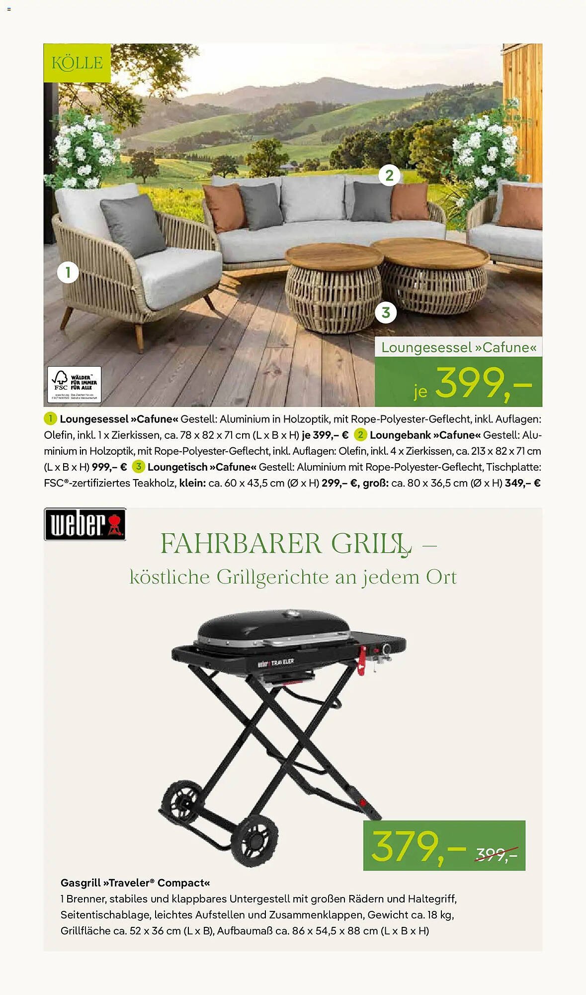 Pflanzen Kölle Prospekt