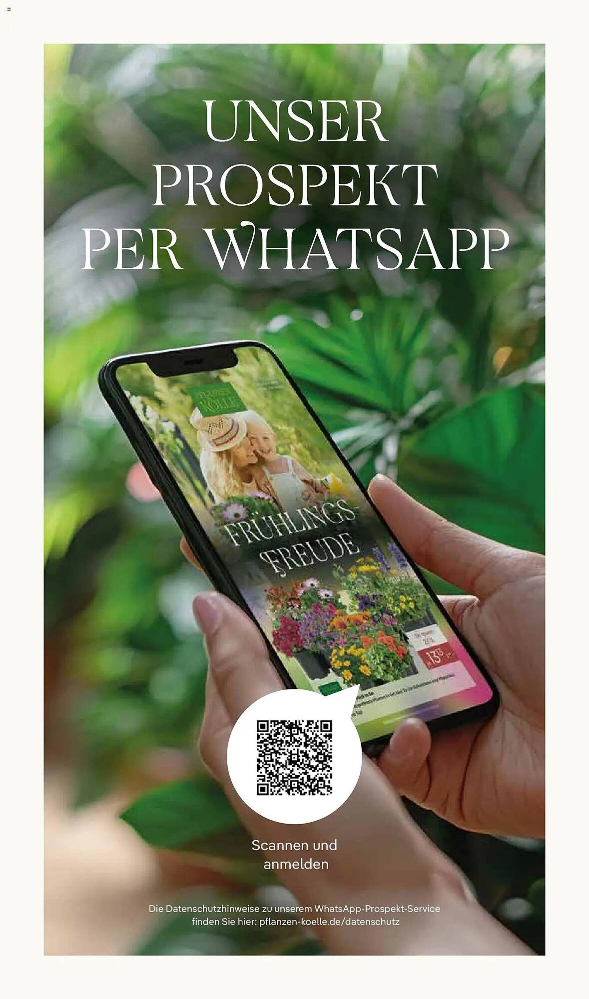 Pflanzen Kölle Prospekt
