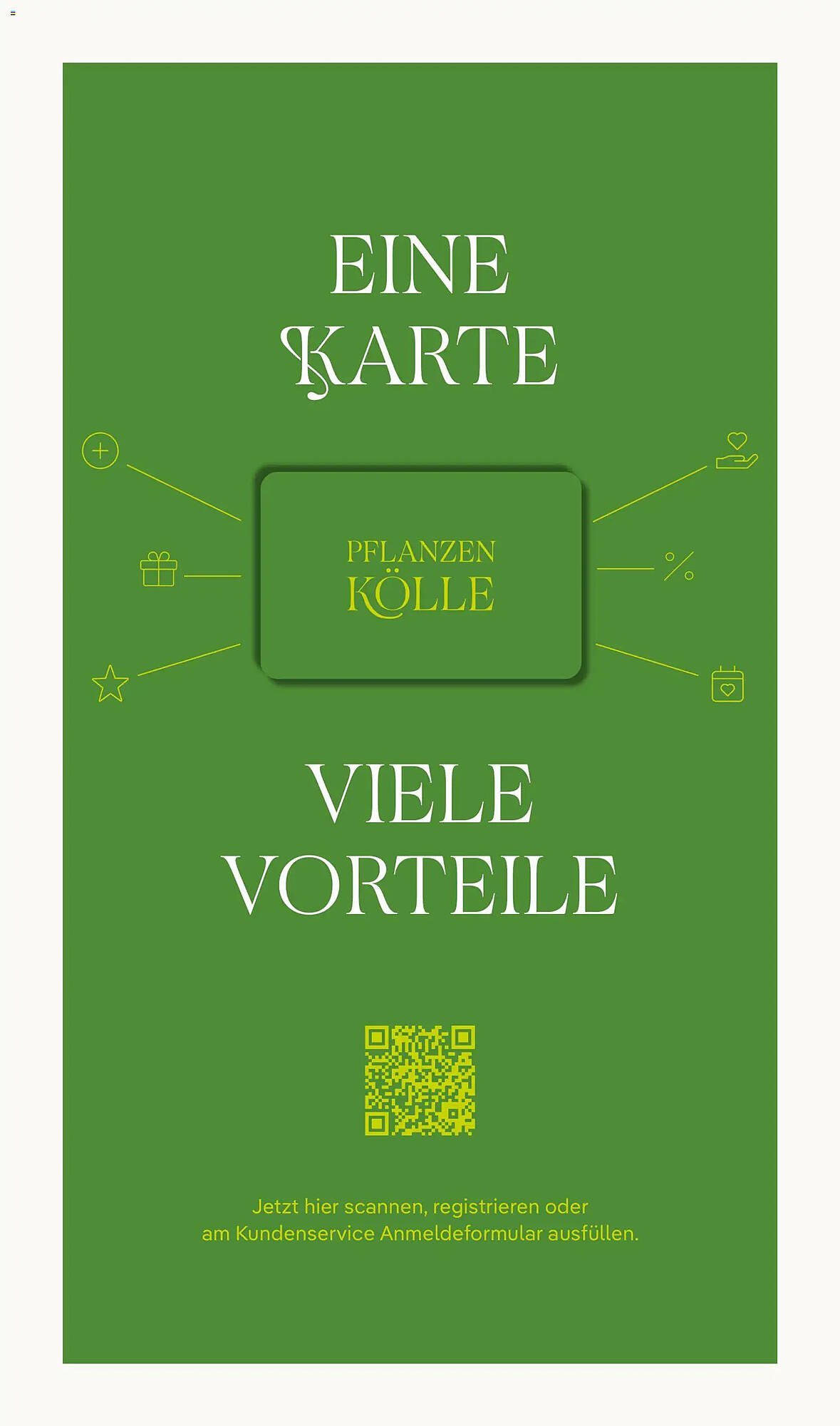 Pflanzen Kölle Prospekt