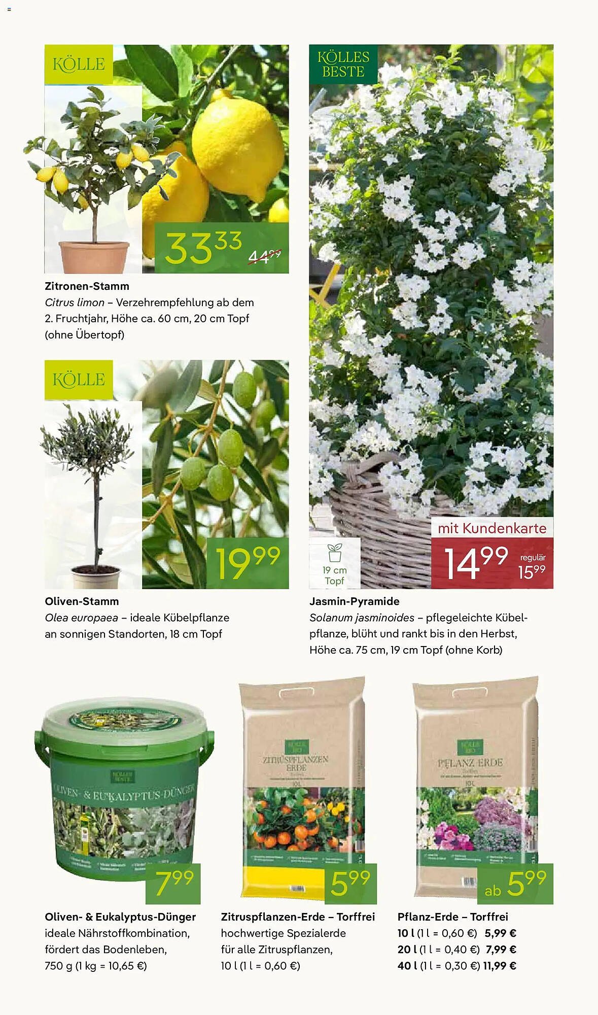 Pflanzen Kölle Prospekt