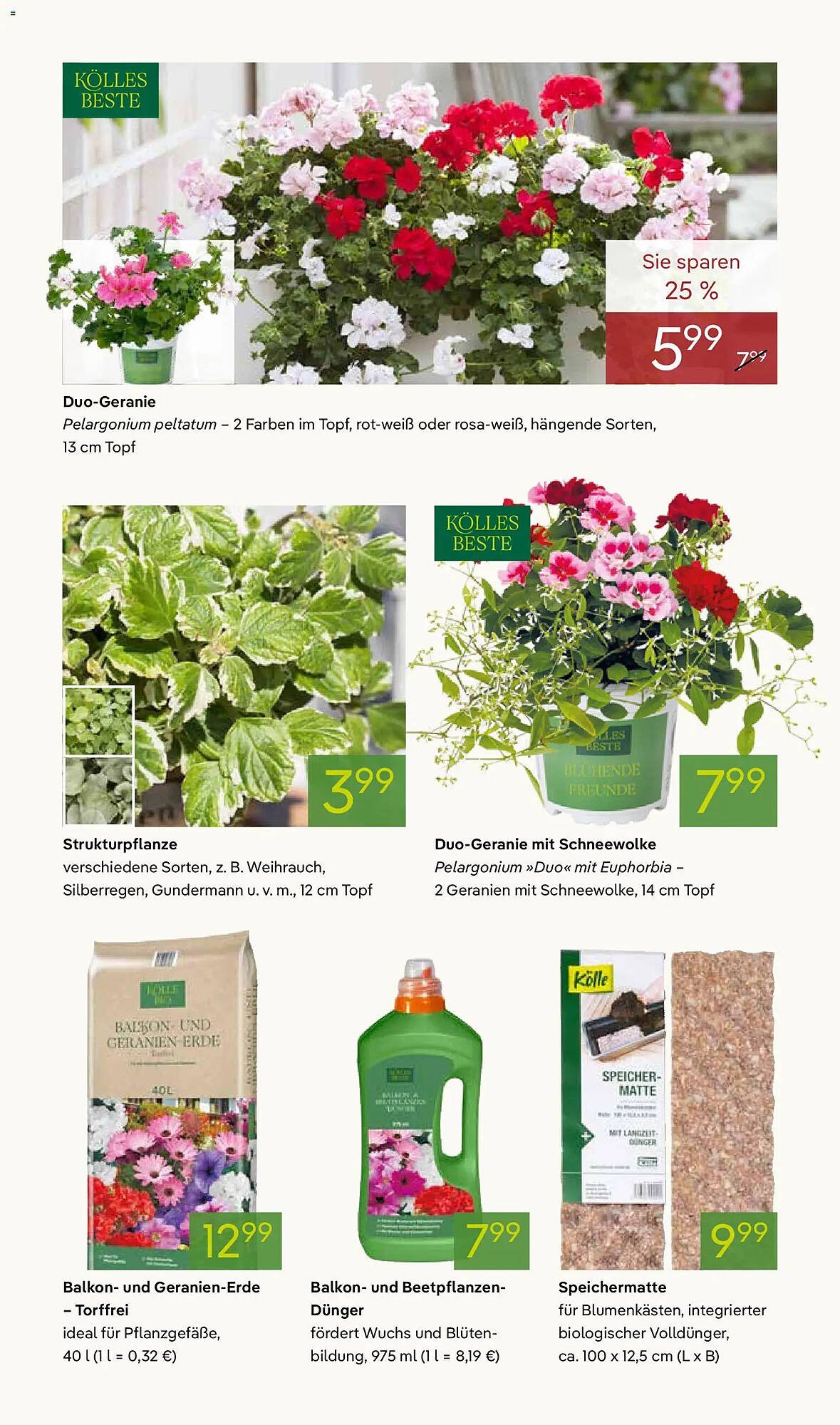 Pflanzen Kölle Prospekt