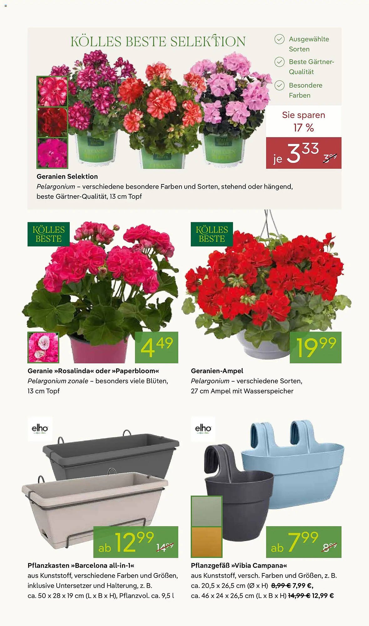 Pflanzen Kölle Prospekt