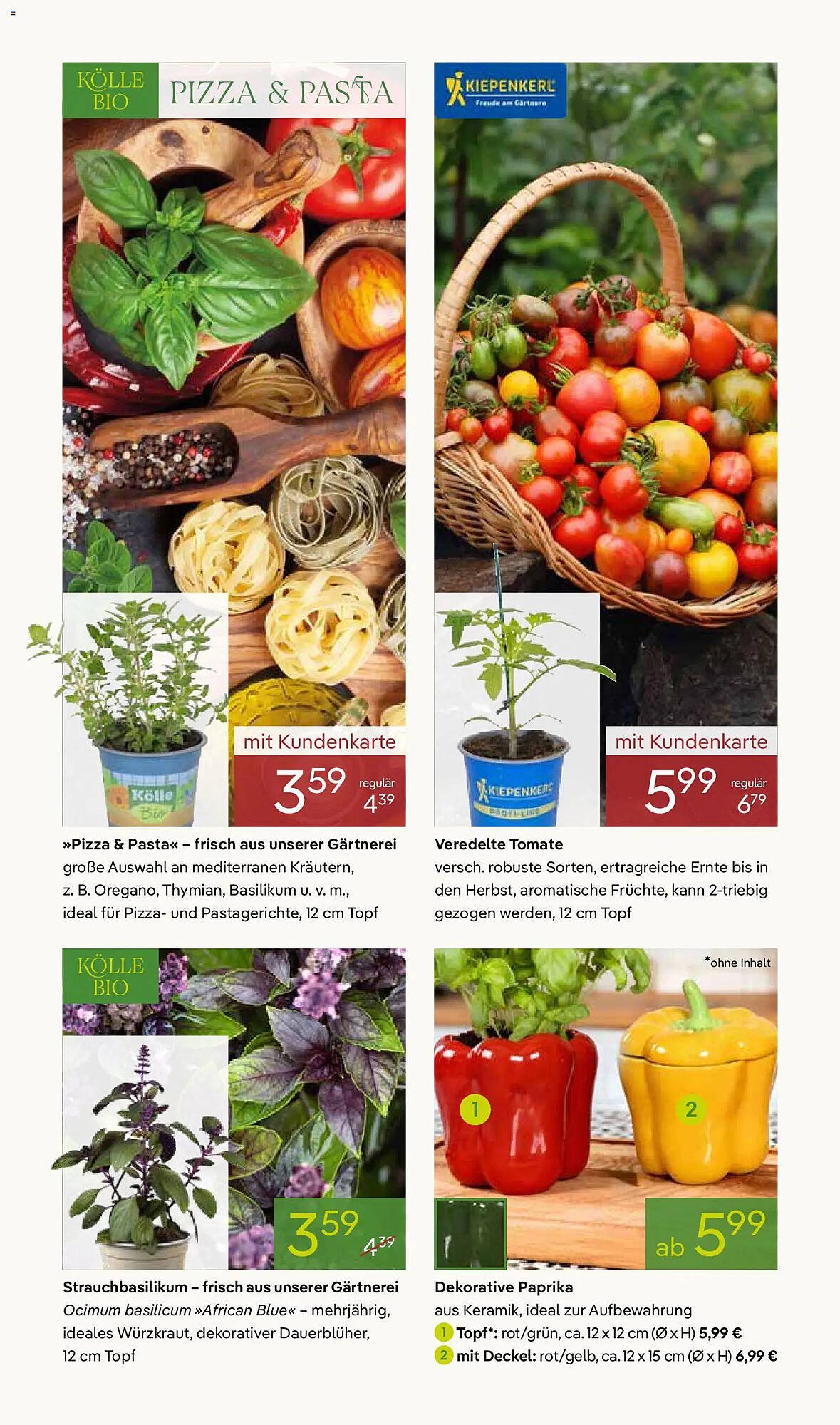 Pflanzen Kölle Prospekt