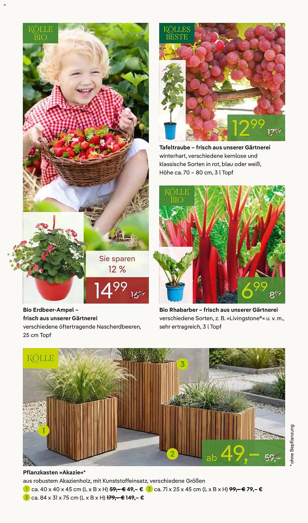 Pflanzen Kölle Prospekt
