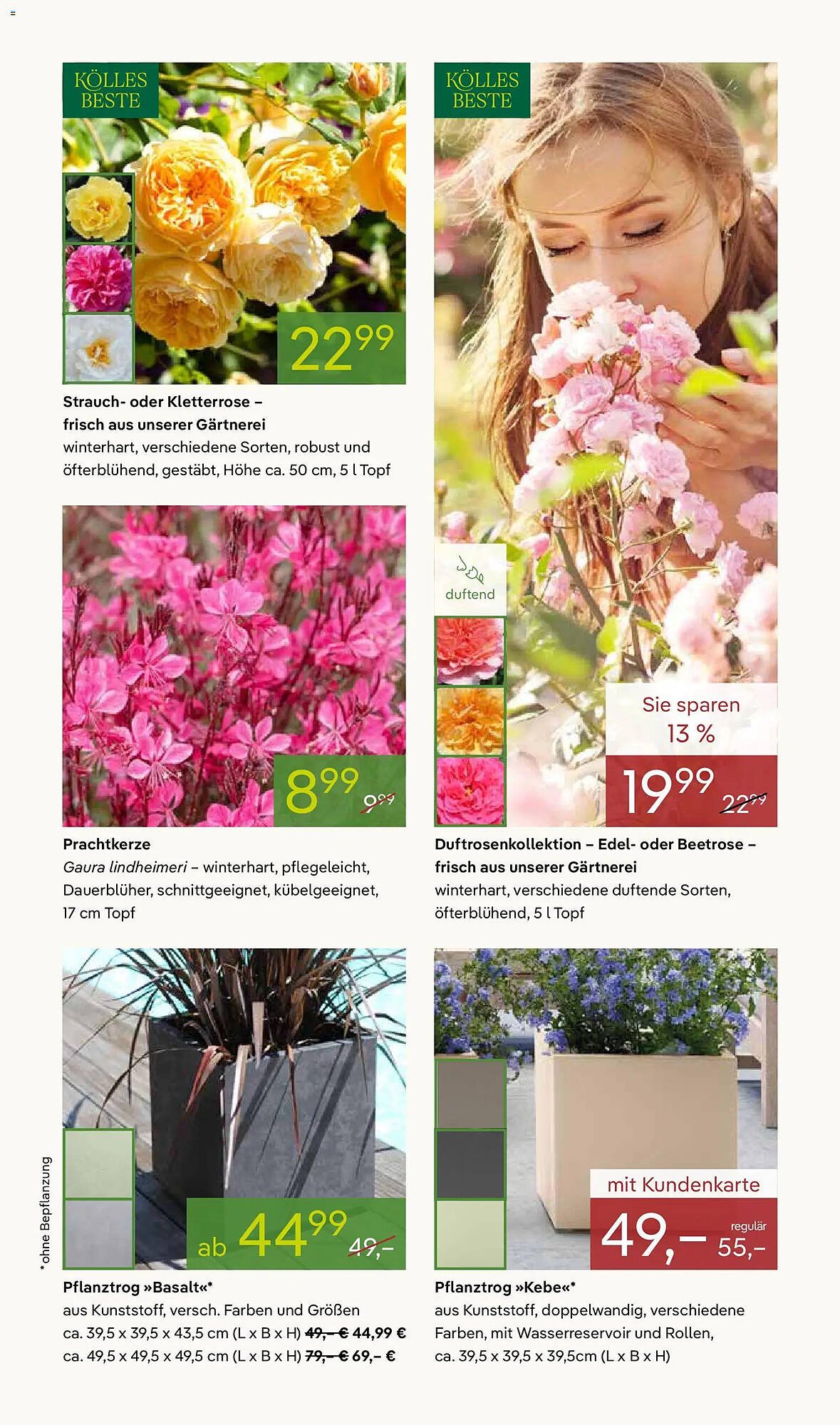 Pflanzen Kölle Prospekt