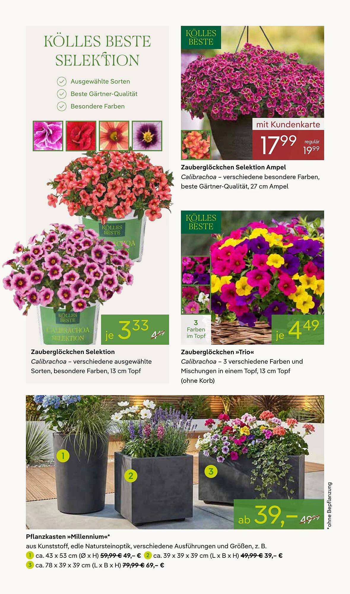 Pflanzen Kölle Prospekt