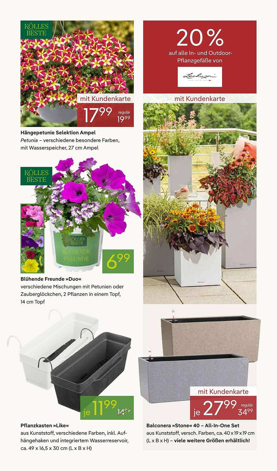 Pflanzen Kölle Prospekt