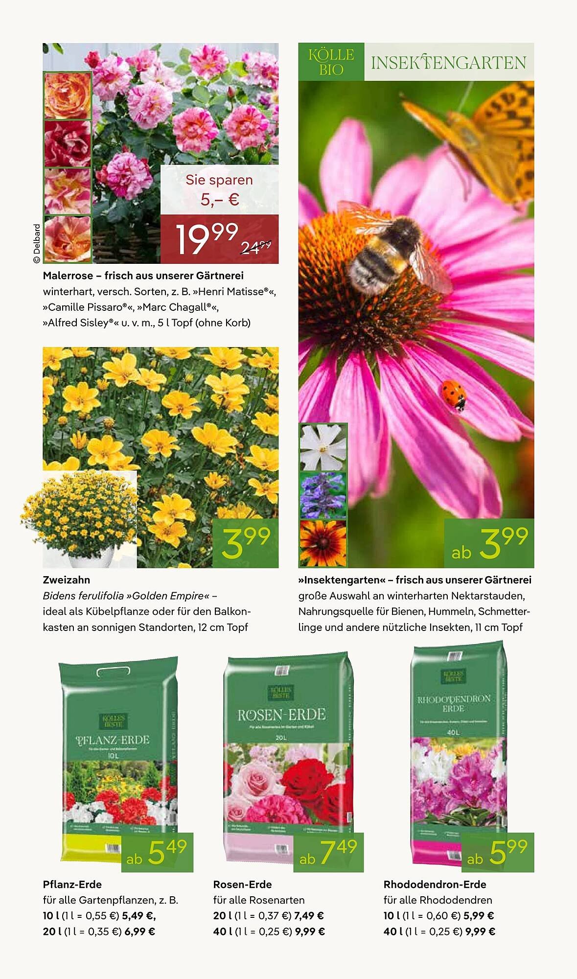 Pflanzen Kölle Prospekt