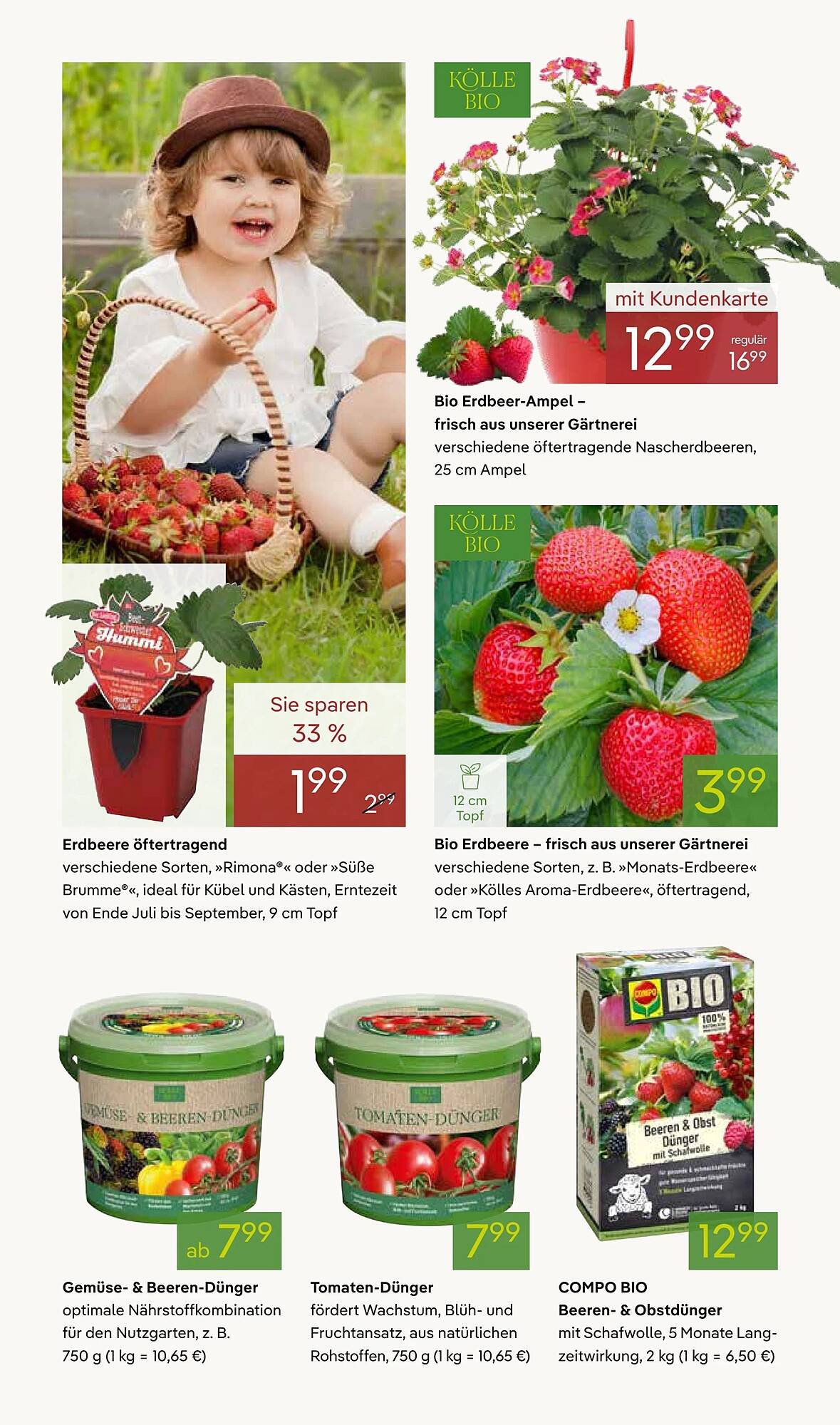 Pflanzen Kölle Prospekt