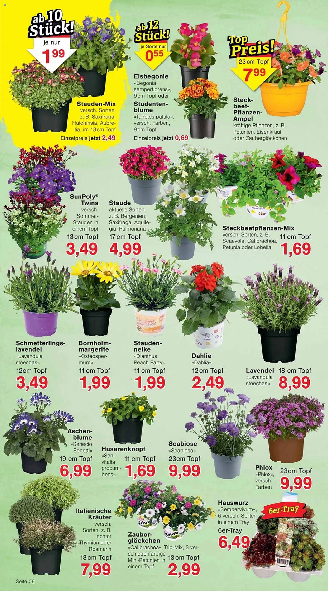 Jawoll Prospekt (2026-04-07 - 2026-04-11)