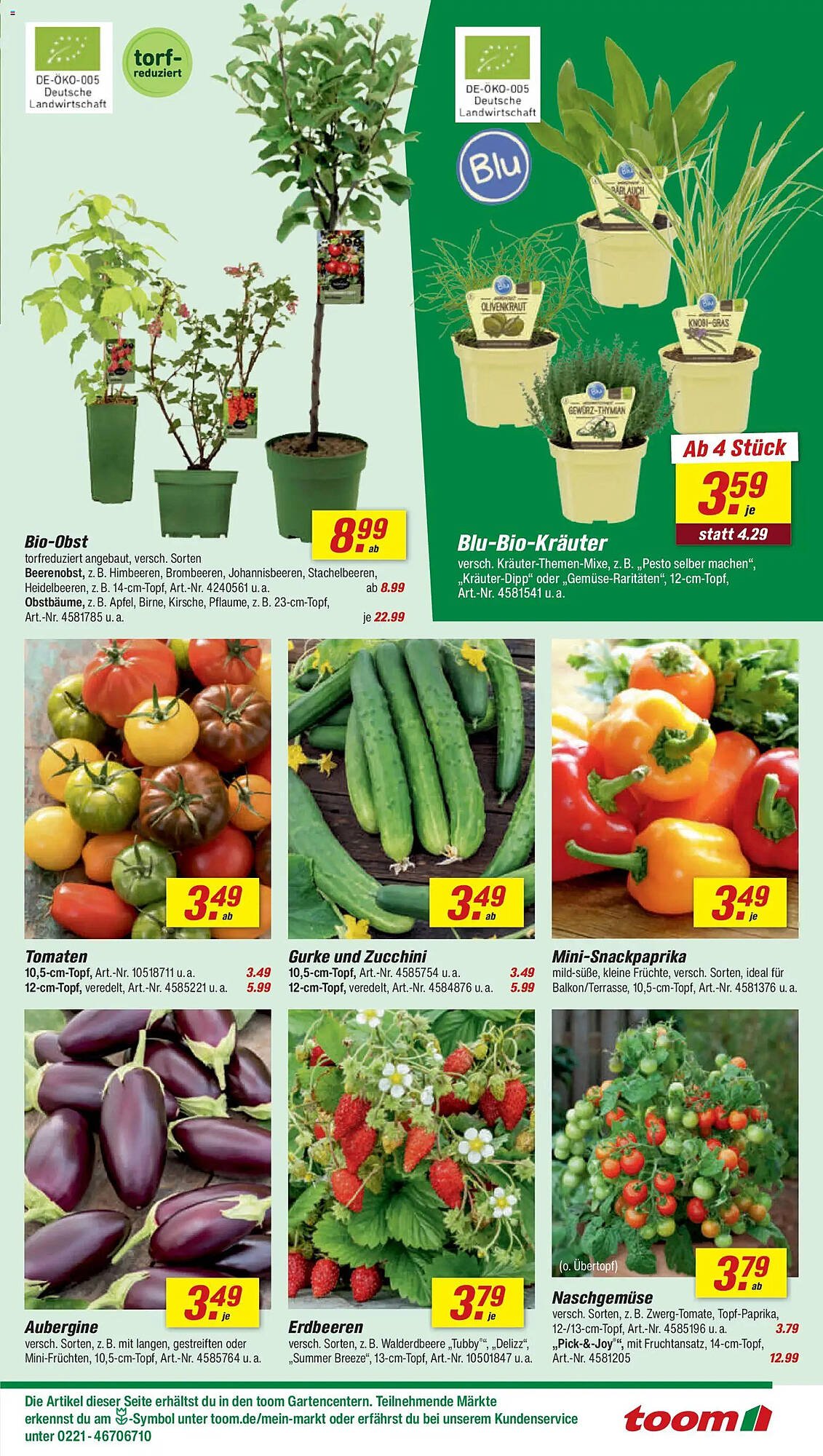 Toom Baumarkt Prospekt