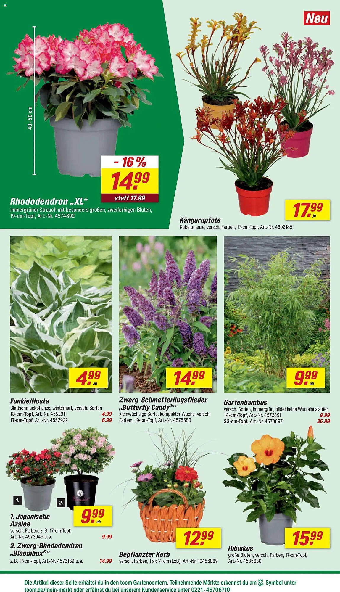 Toom Baumarkt Prospekt