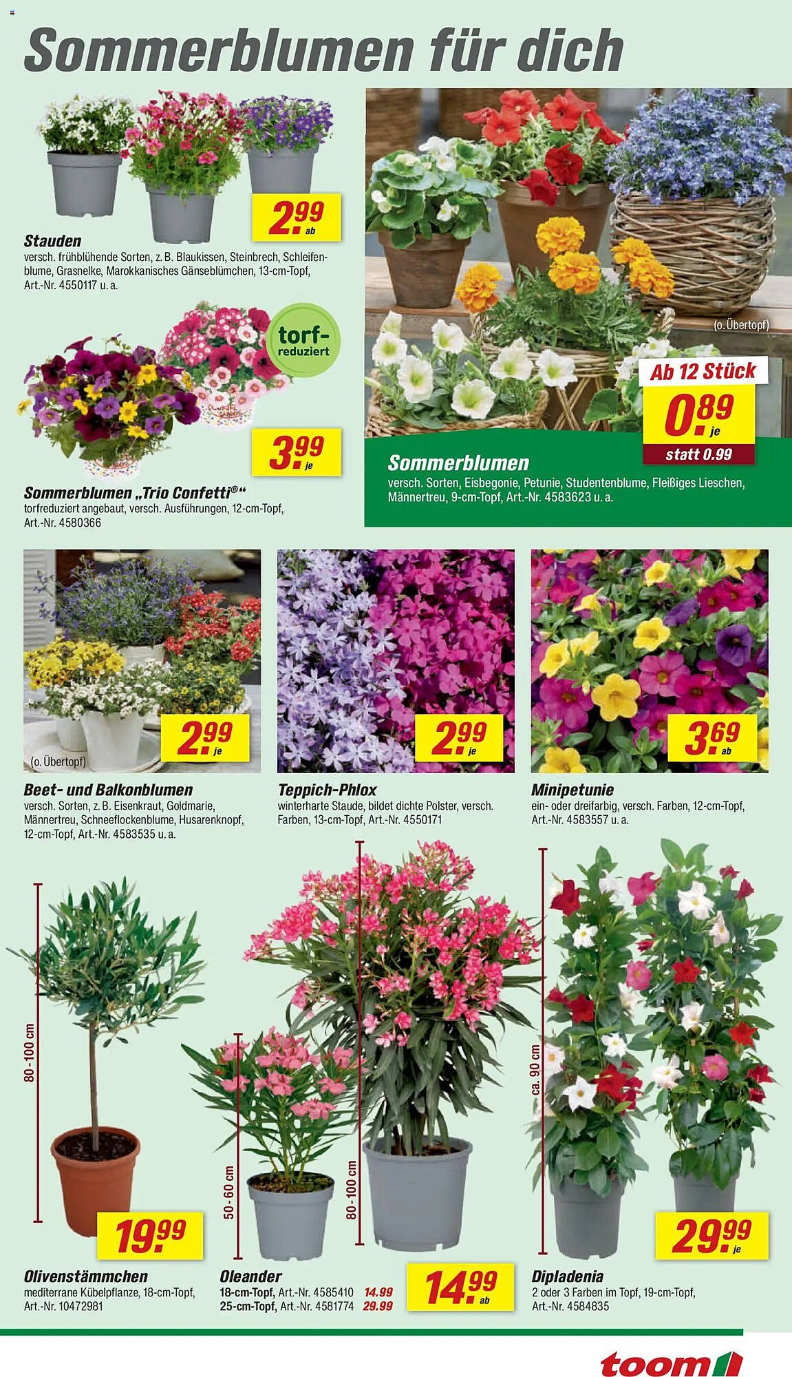 Toom Baumarkt Prospekt (2026-04-11 - 2026-04-17)