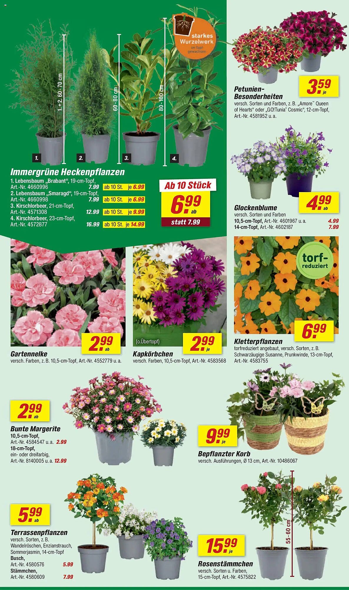 Toom Baumarkt Prospekt (2026-04-11 - 2026-04-17)