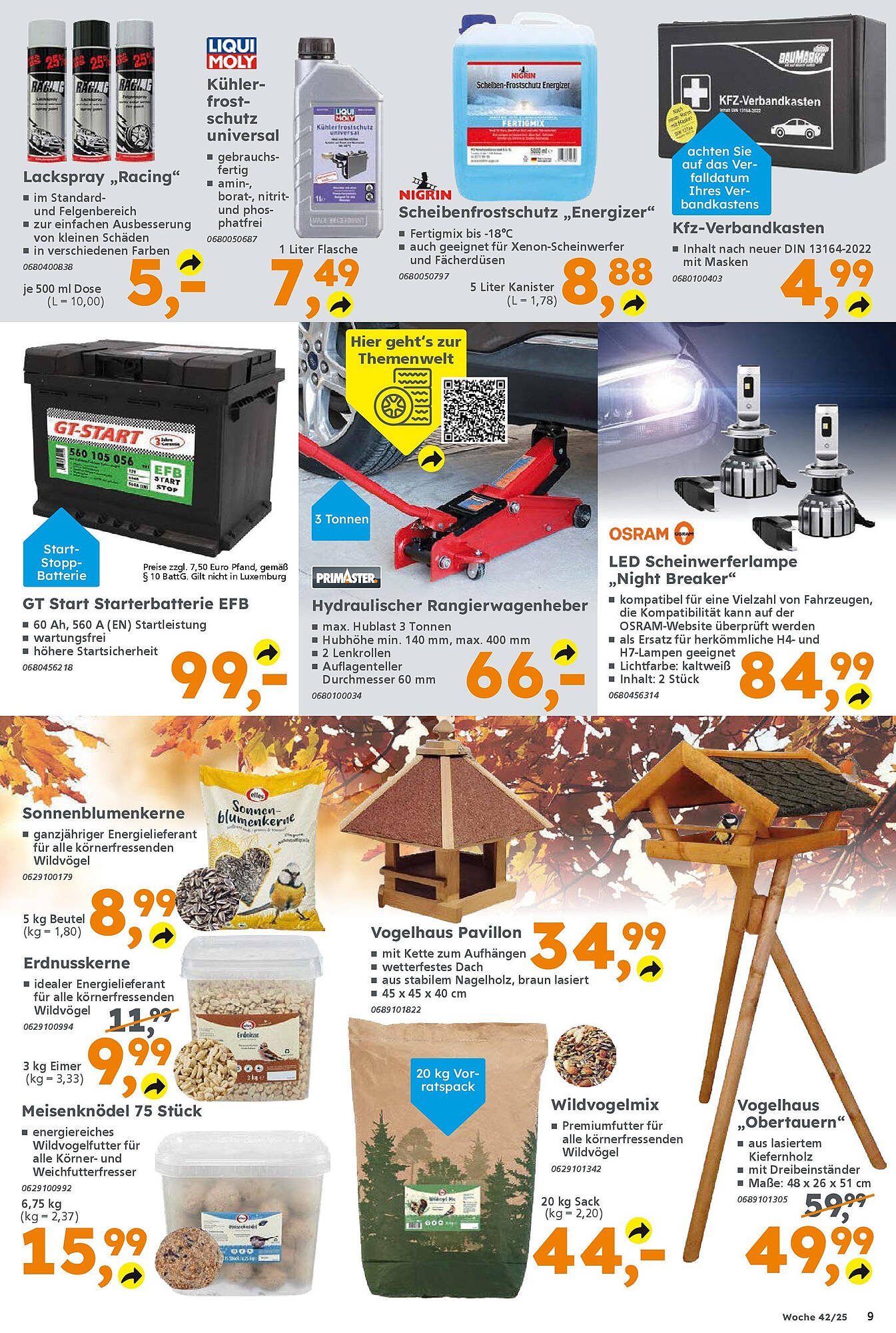 Globus Baumarkt Prospekt (2025-10-12 - 2025-10-18) | 9