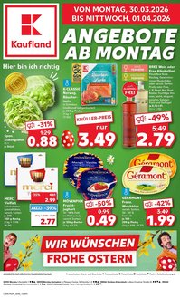 Kaufland Prospekt