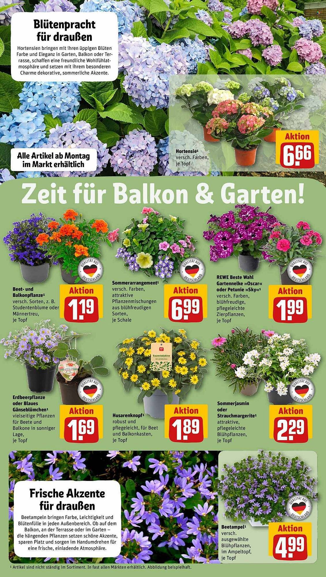 REWE Prospekt (2026-05-11 - 2026-05-17)