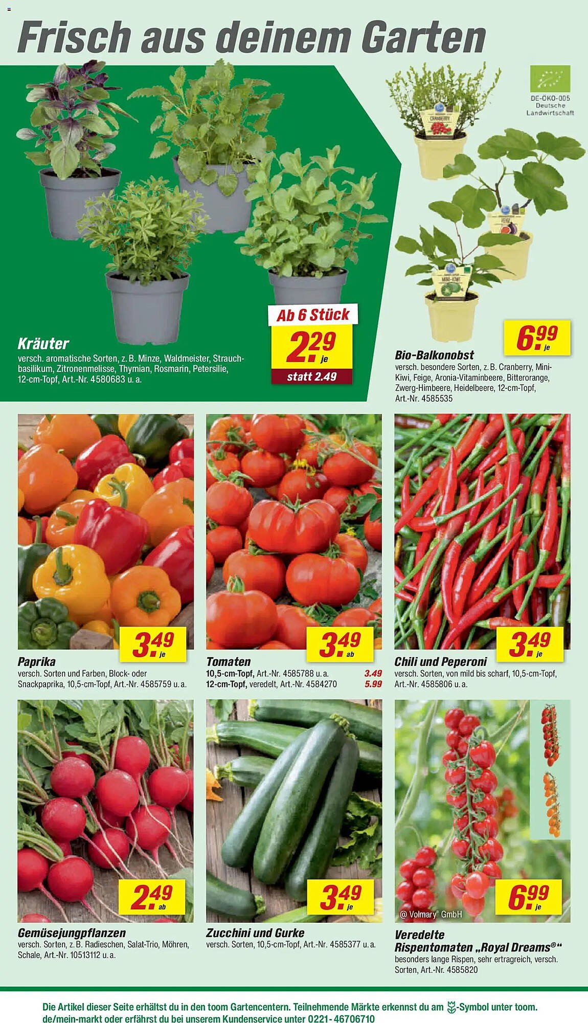 Toom Baumarkt Prospekt