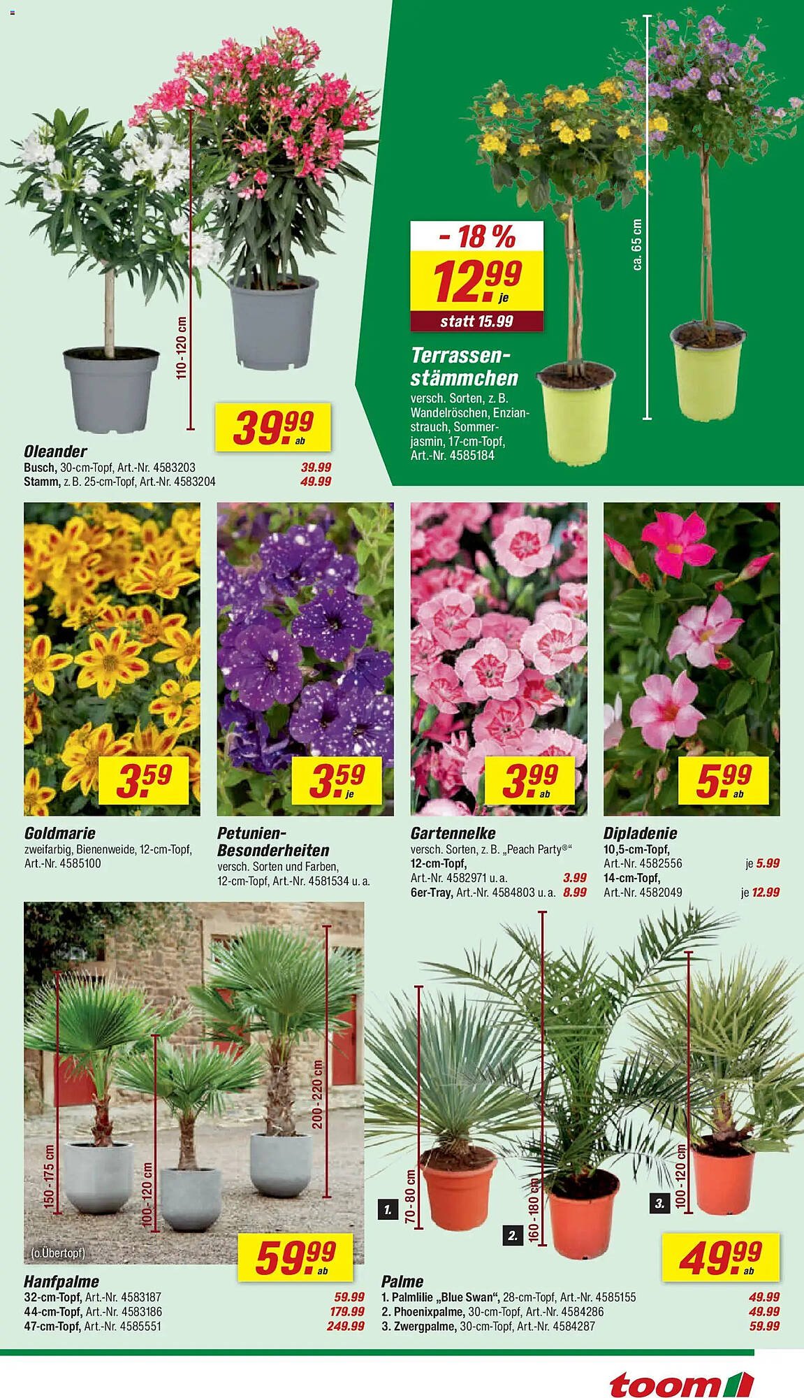 Toom Baumarkt Prospekt