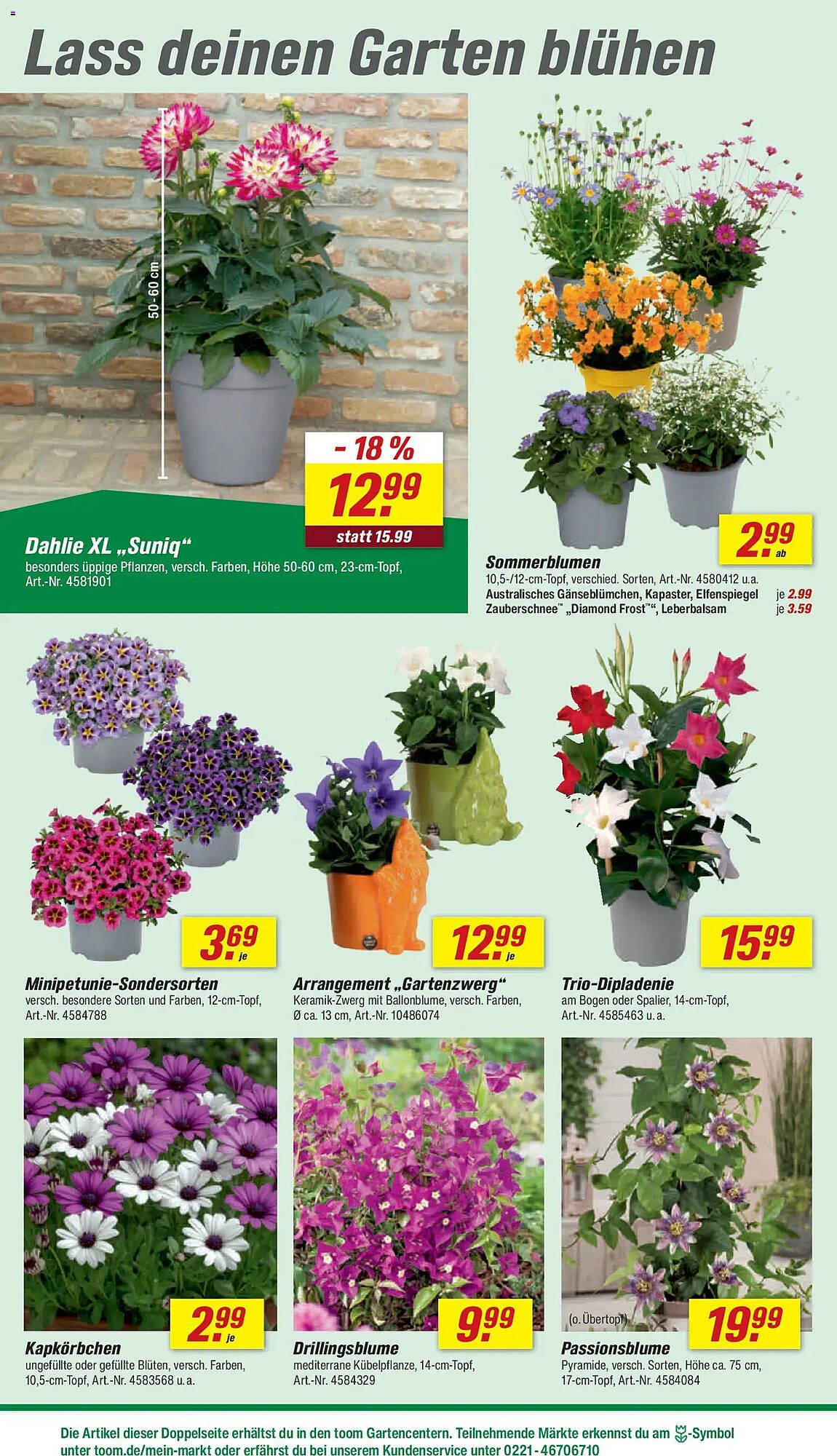 Toom Baumarkt Prospekt