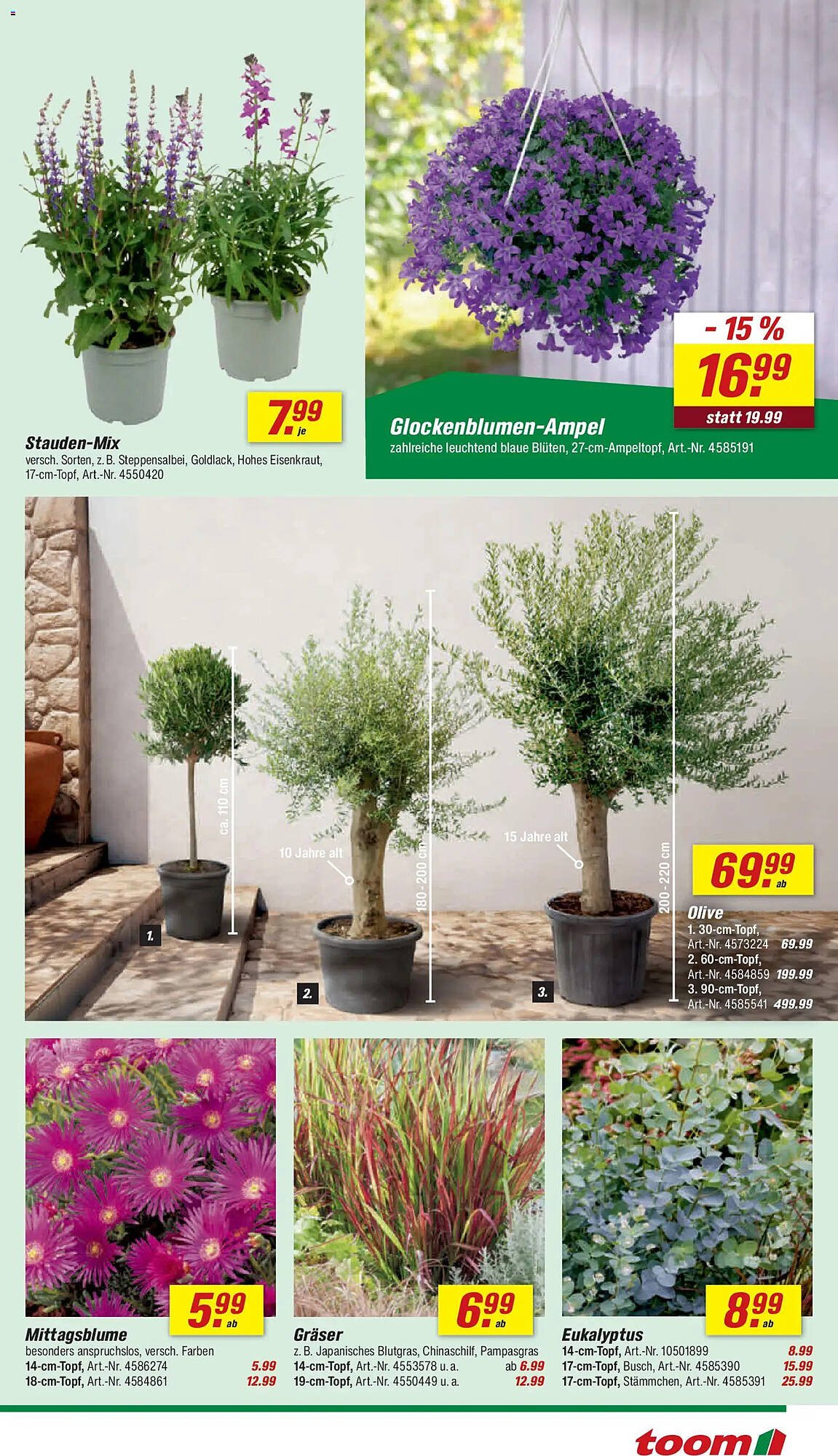 Toom Baumarkt Prospekt