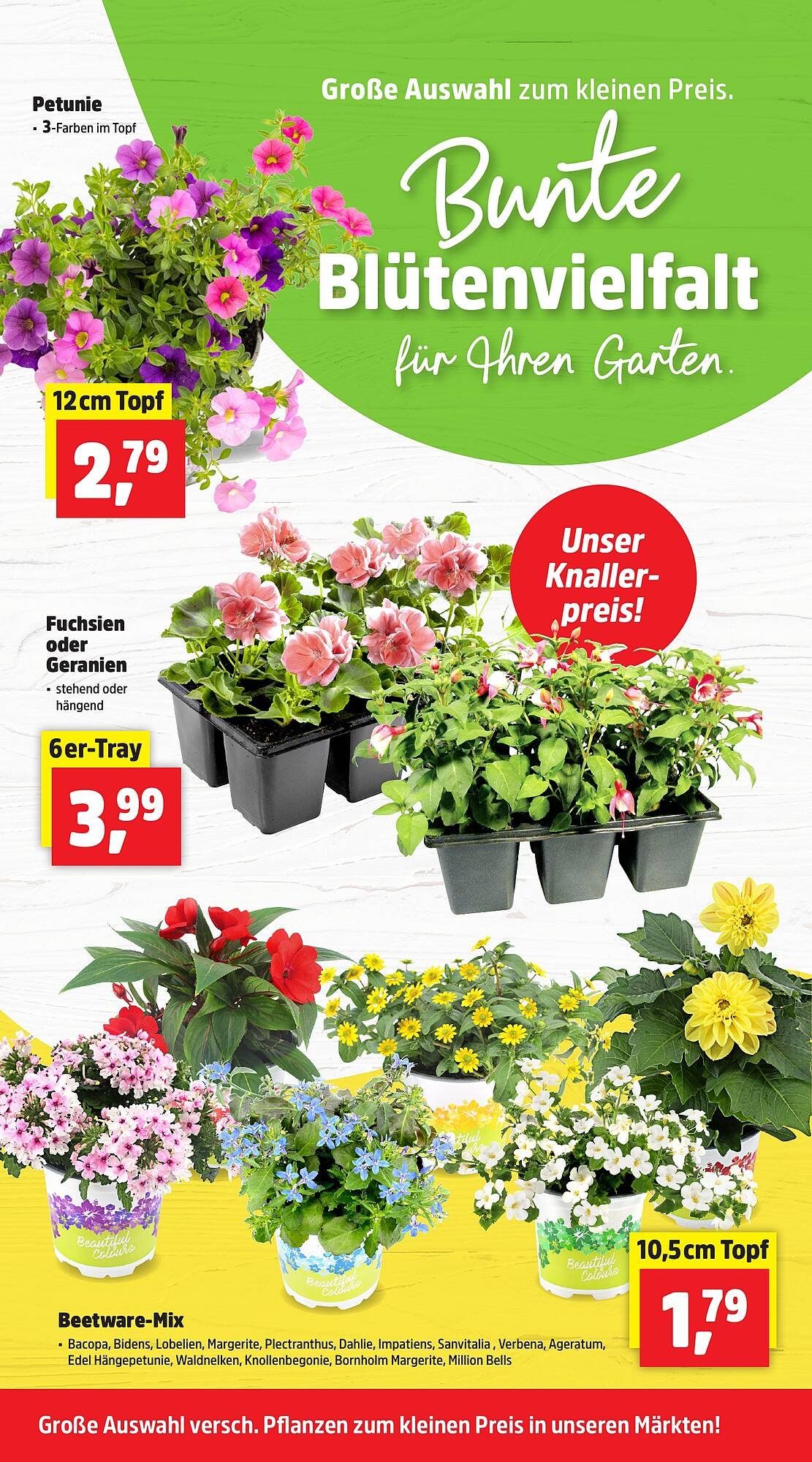 Thomas Philipps Prospekt (2026-04-20 - 2026-05-02)