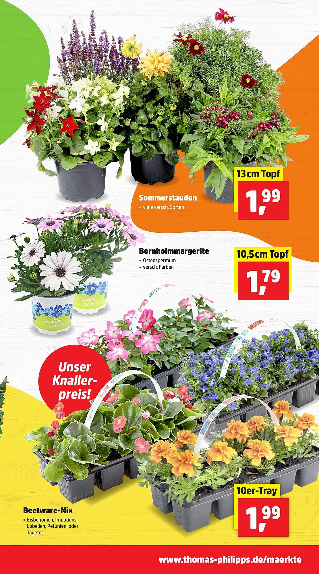 Thomas Philipps Prospekt