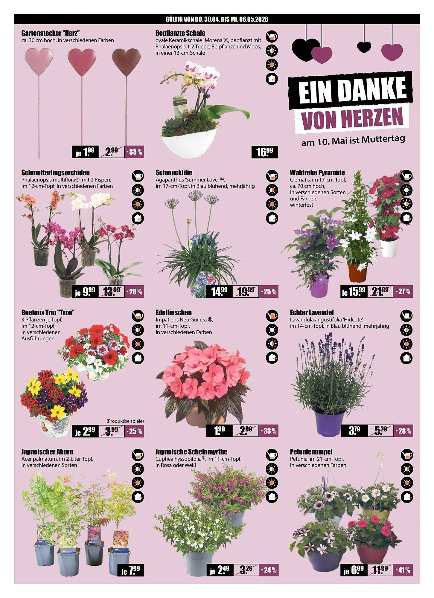 V Baumarkt Prospekt (2026-04-30 - 2026-05-07)