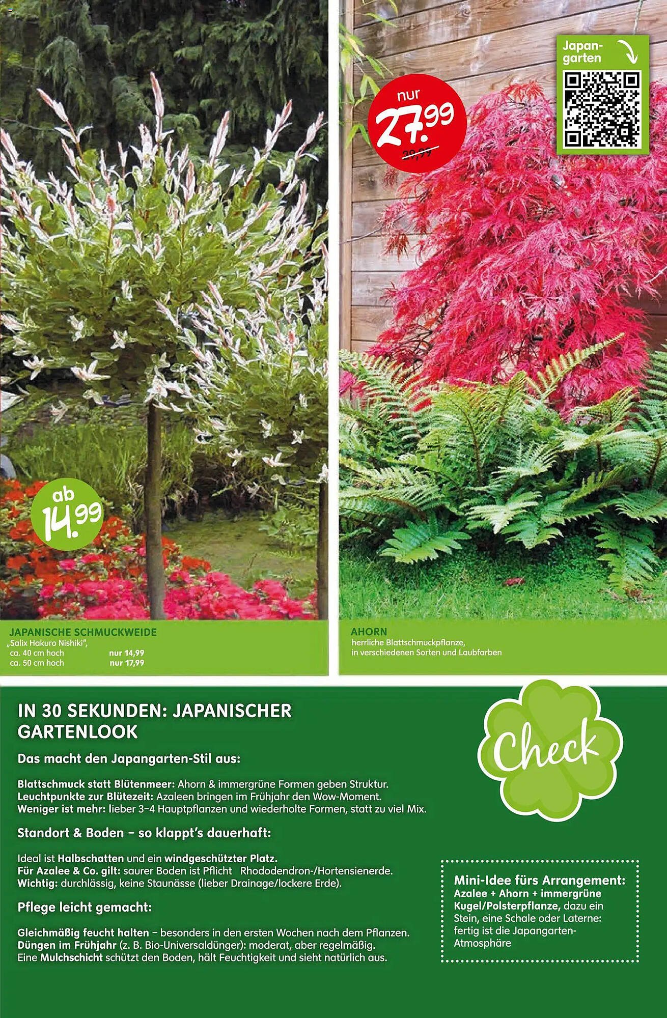 Blumen Risse Prospekt (2026-04-16 - 2026-04-26)