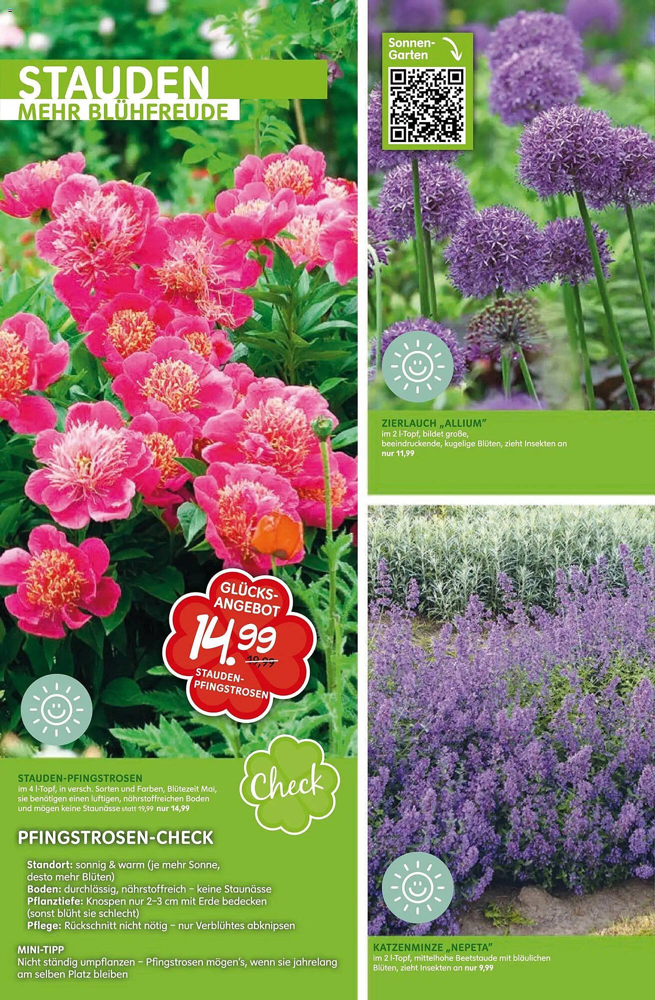 Blumen Risse Prospekt (2026-04-16 - 2026-04-26)