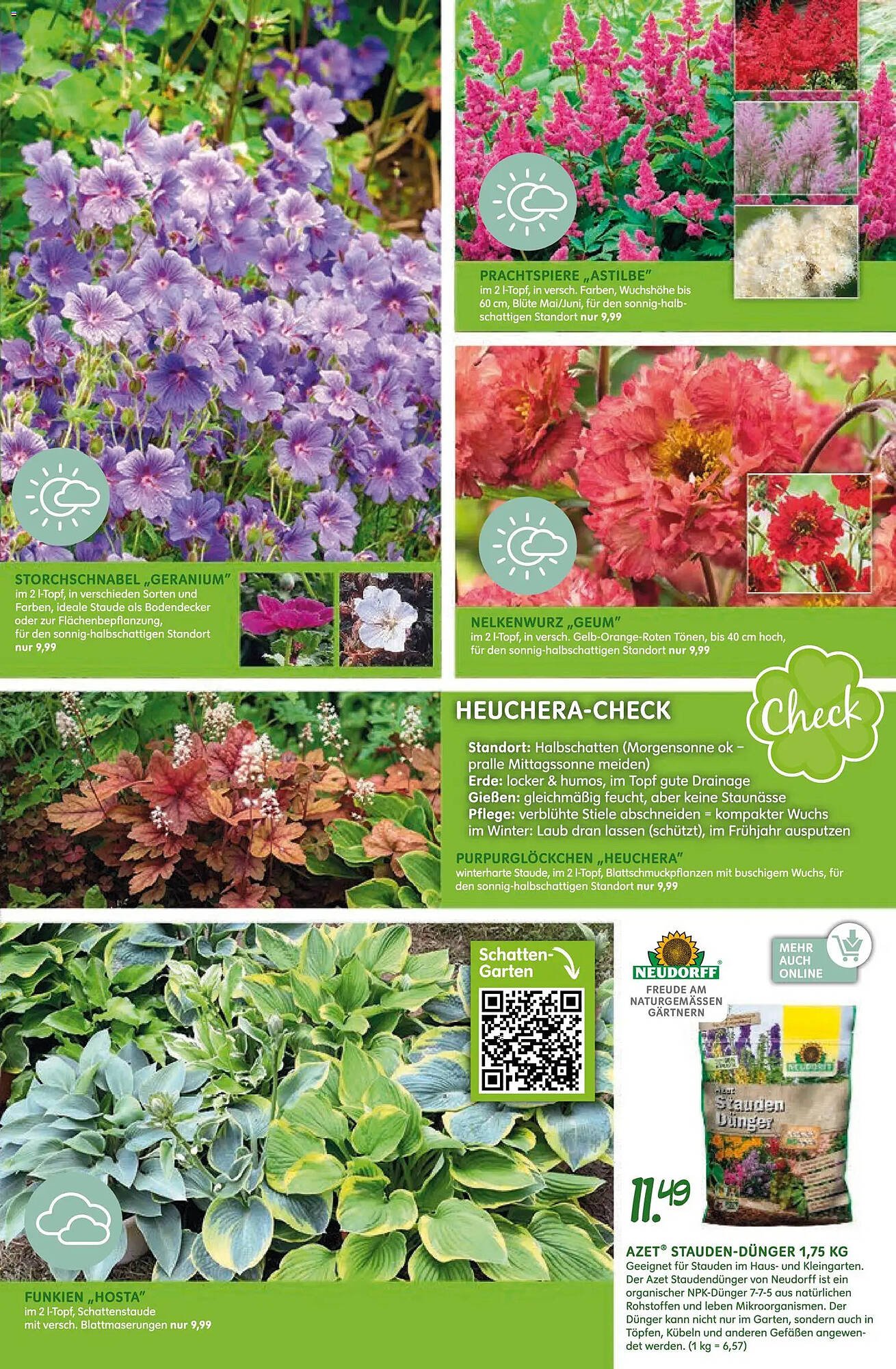 Blumen Risse Prospekt (2026-04-16 - 2026-04-26)