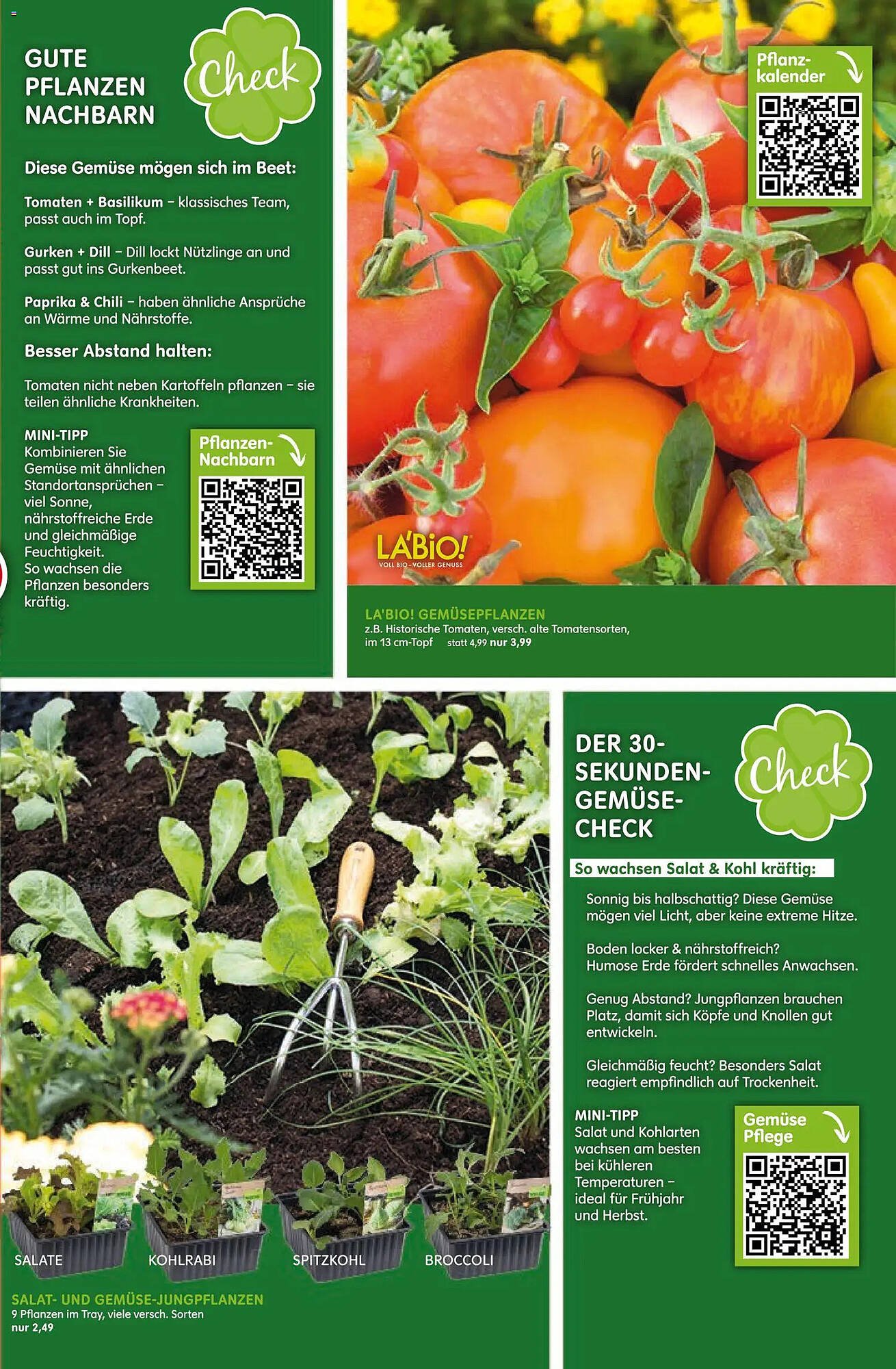 Blumen Risse Prospekt (2026-04-16 - 2026-04-26)