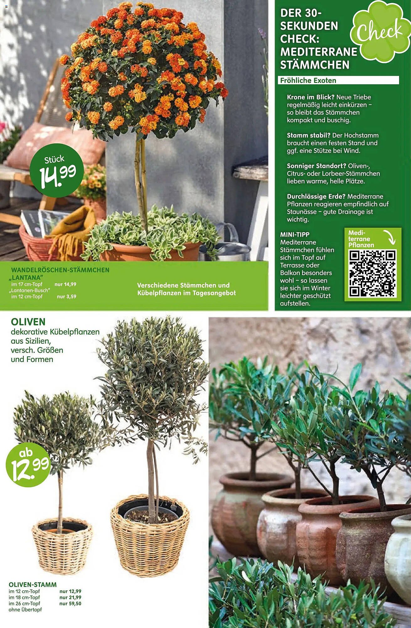 Blumen Risse Prospekt (2026-04-16 - 2026-04-26)