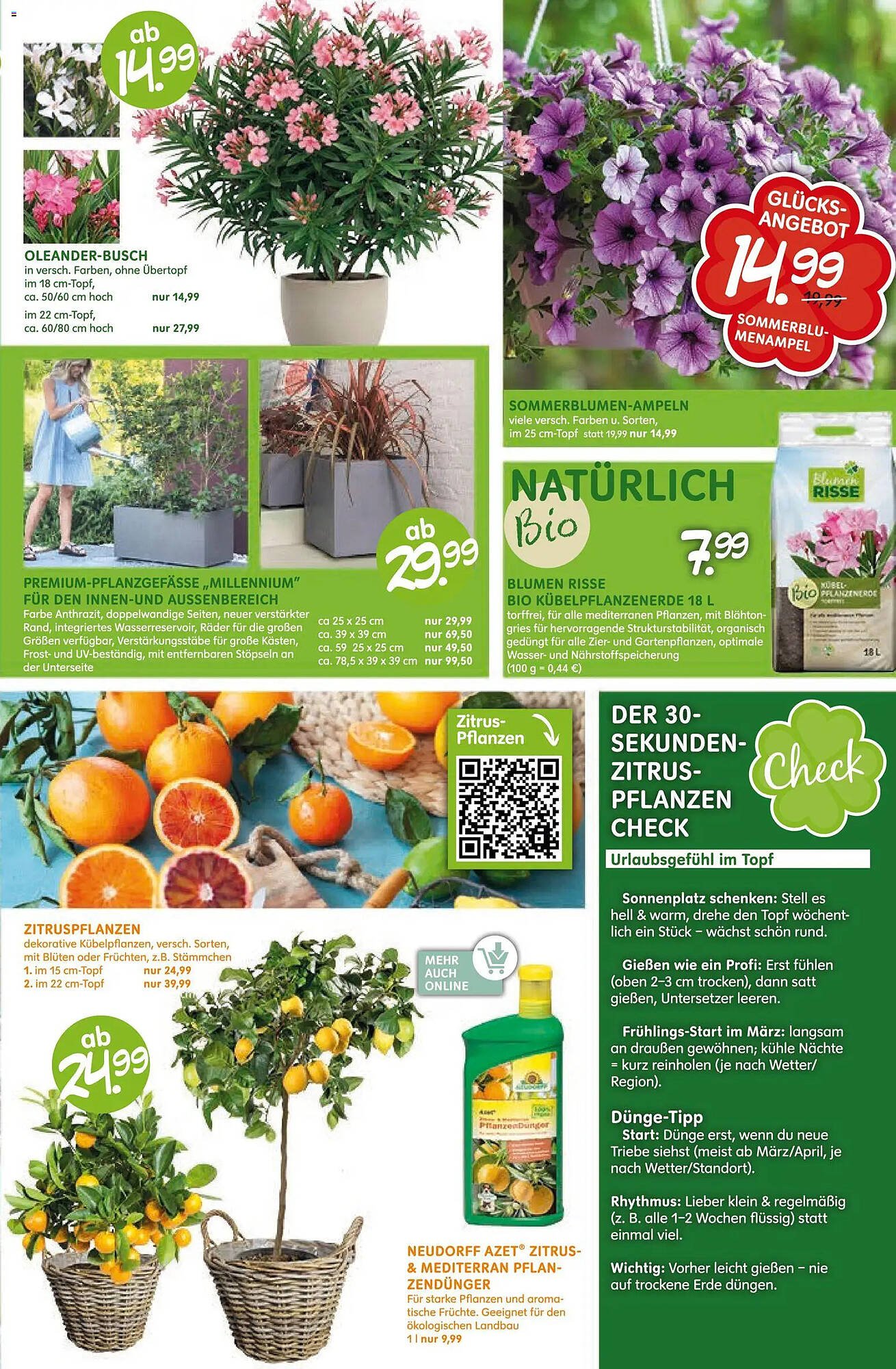 Blumen Risse Prospekt (2026-04-16 - 2026-04-26)