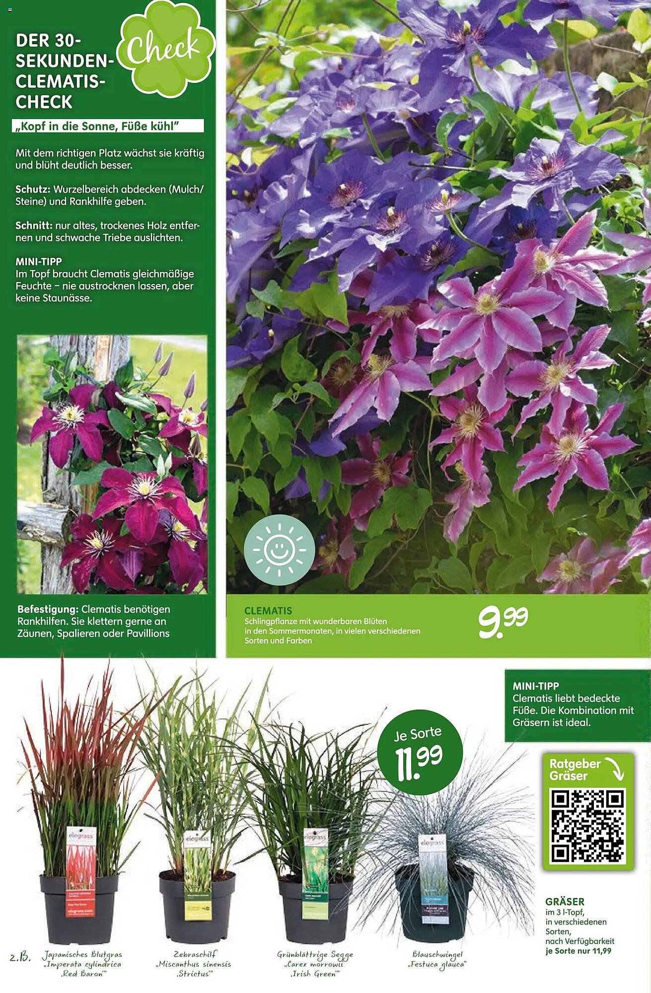 Blumen Risse Prospekt (2026-04-16 - 2026-04-26)