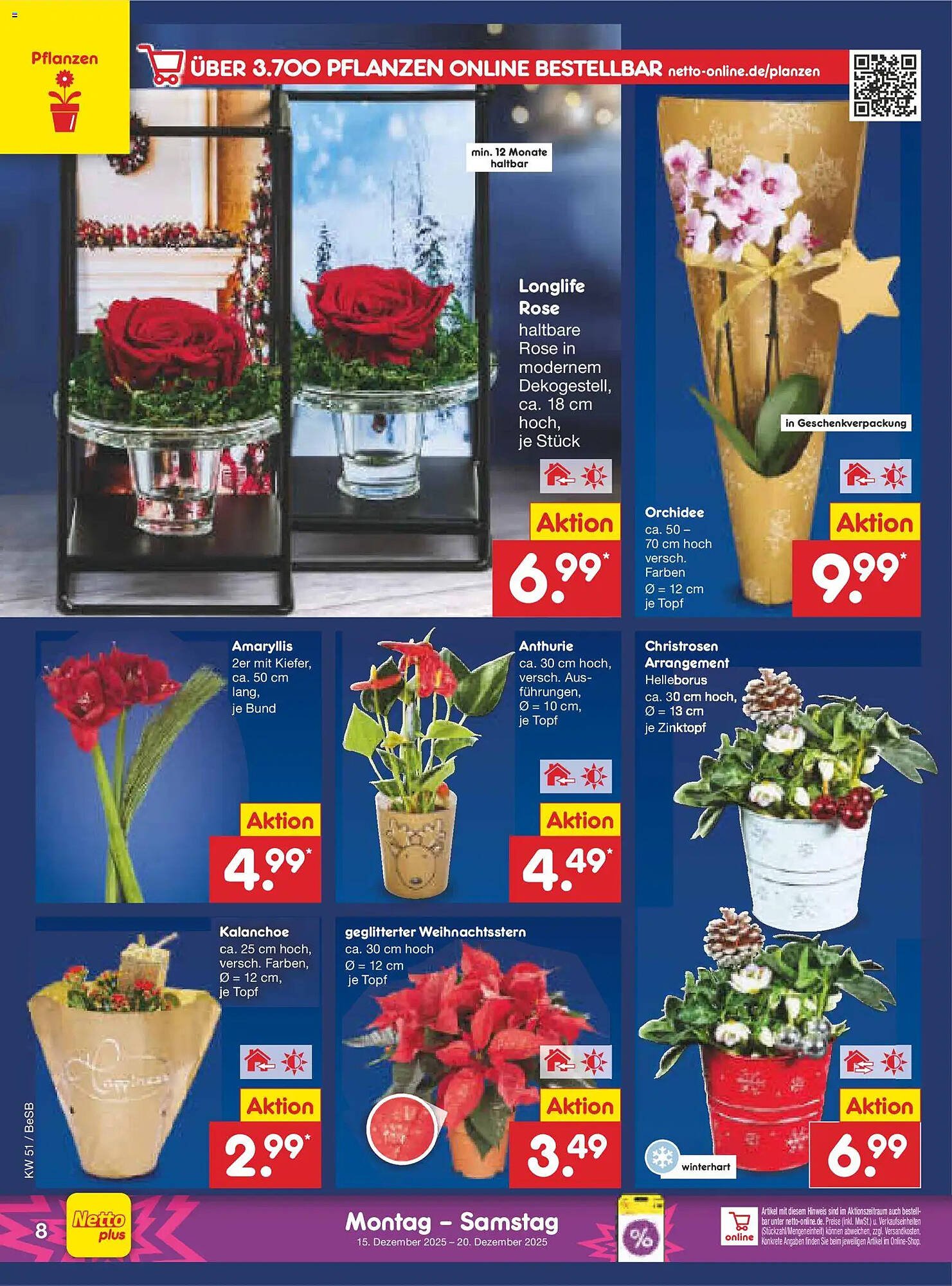 Netto Marken-Discount Prospekt (2025-12-15 - 2025-12-20)