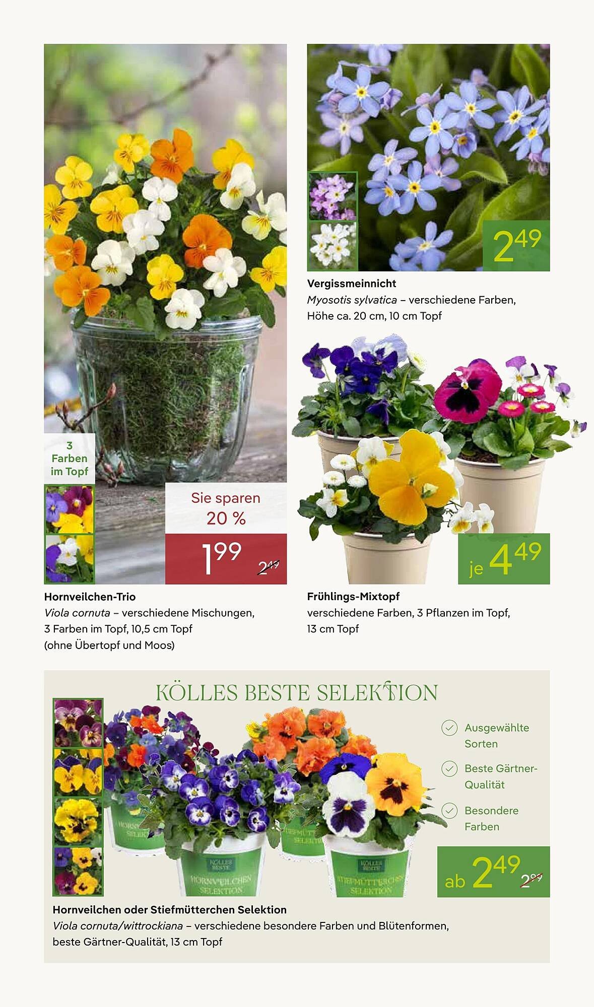 Pflanzen Kölle Prospekt (2026-03-16 - 2026-03-23)