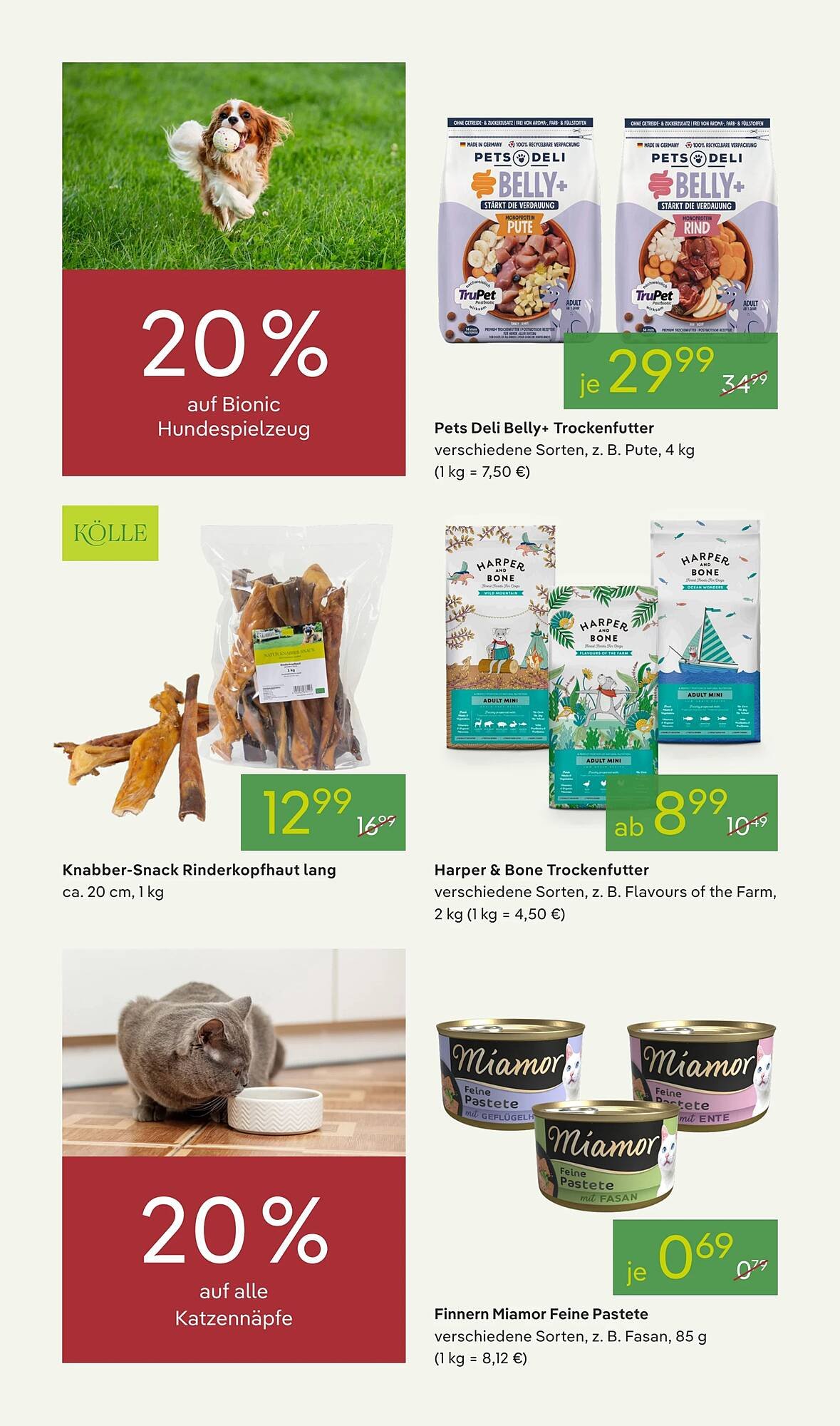 Pflanzen Kölle Prospekt