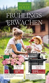 Pflanzen Kölle Prospekt (2026-03-16 - 2026-03-23)