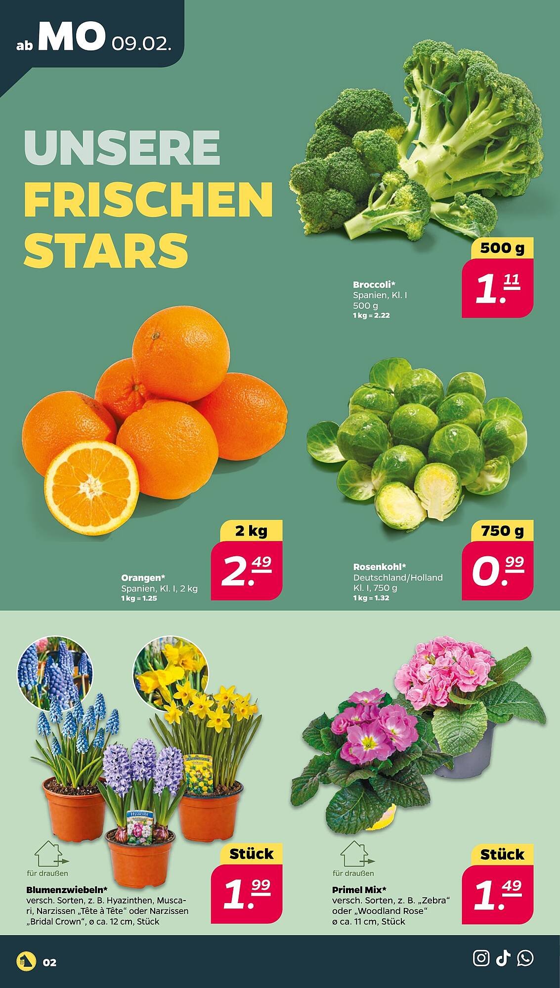 NETTO Prospekt (2026-02-09 - 2026-02-14)