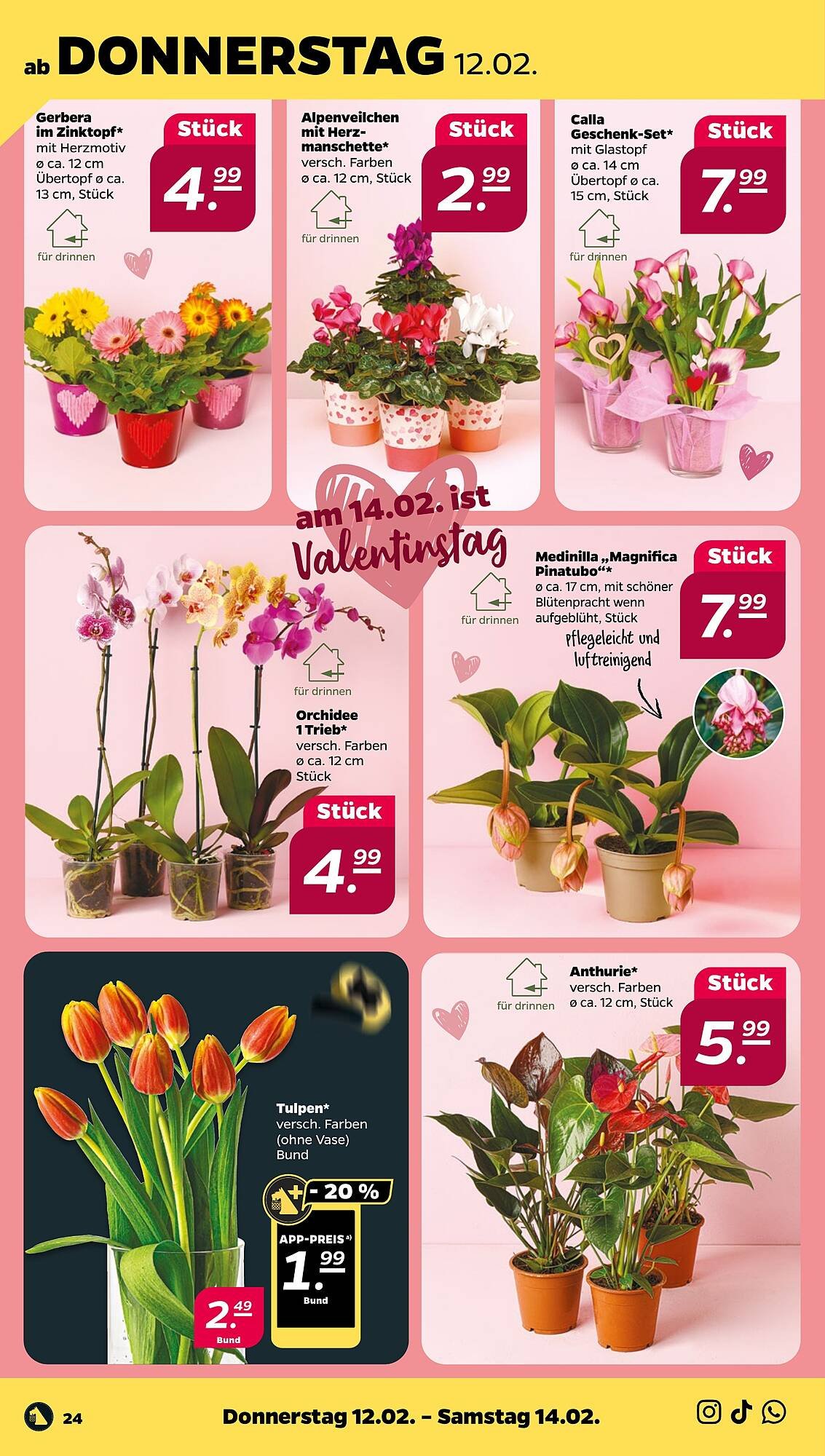 NETTO Prospekt (2026-02-09 - 2026-02-14)