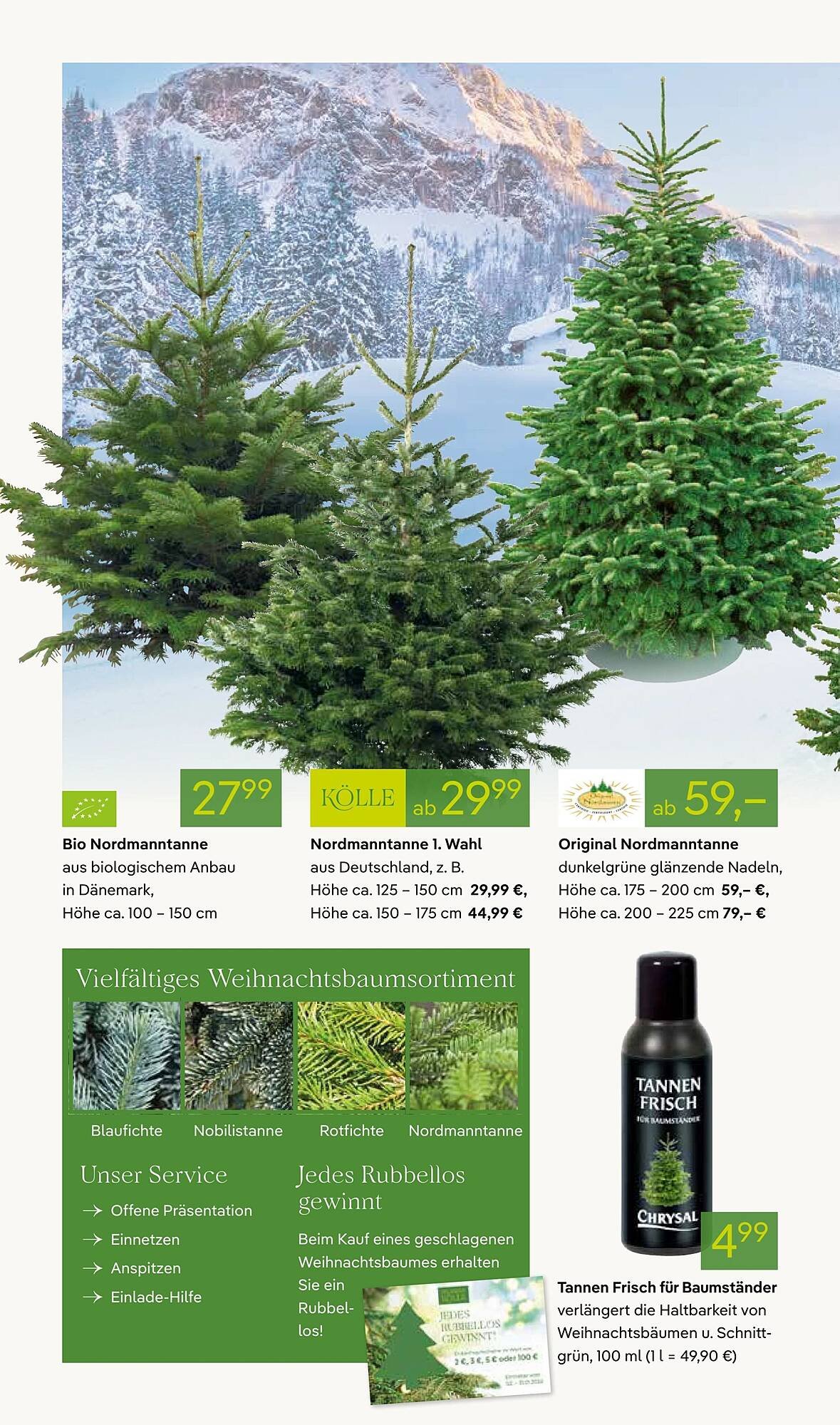 Pflanzen Kölle Prospekt (2025-12-01 - 2025-12-08)