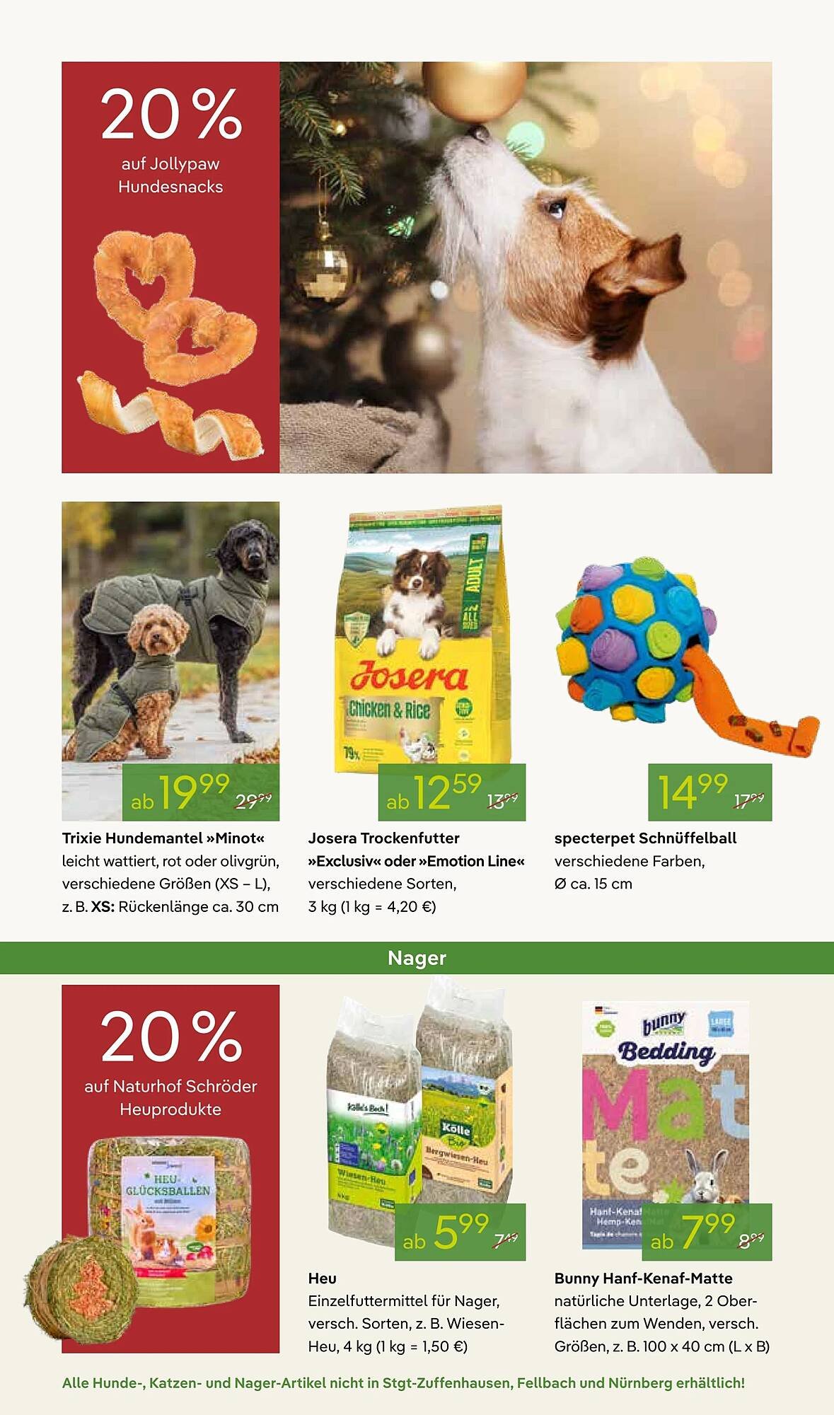 Pflanzen Kölle Prospekt (2025-12-01 - 2025-12-08)