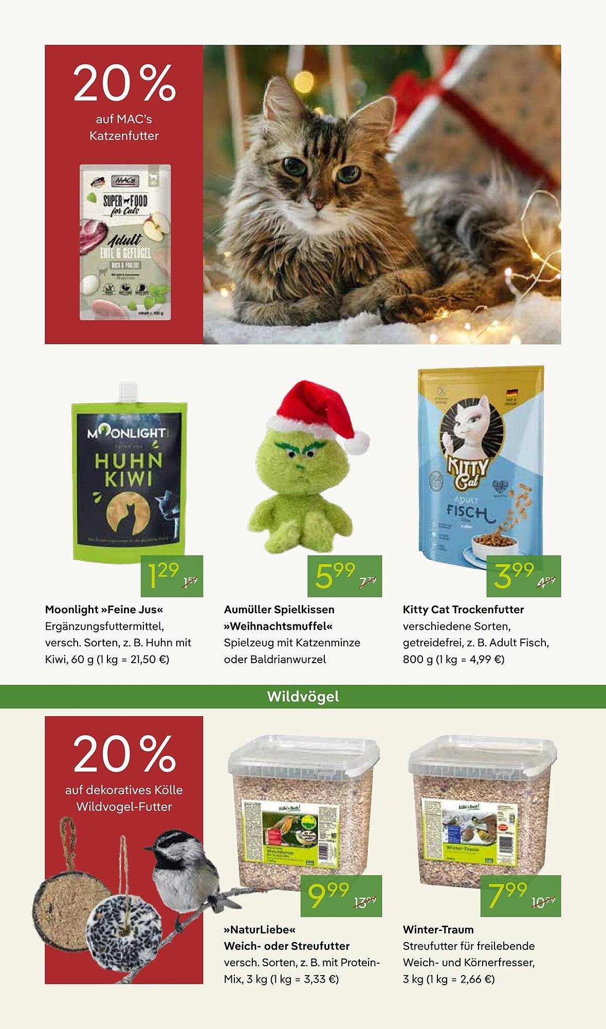 Pflanzen Kölle Prospekt (2025-12-01 - 2025-12-08)